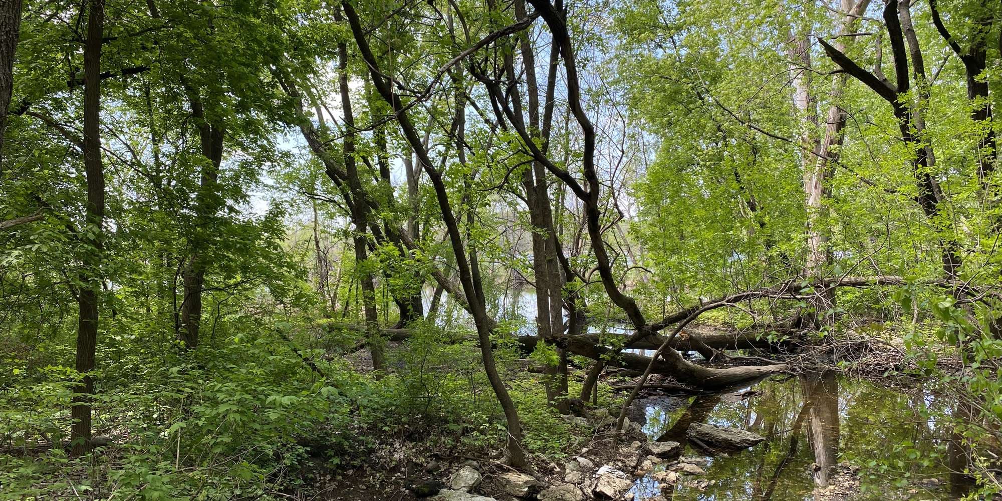 First image to compare