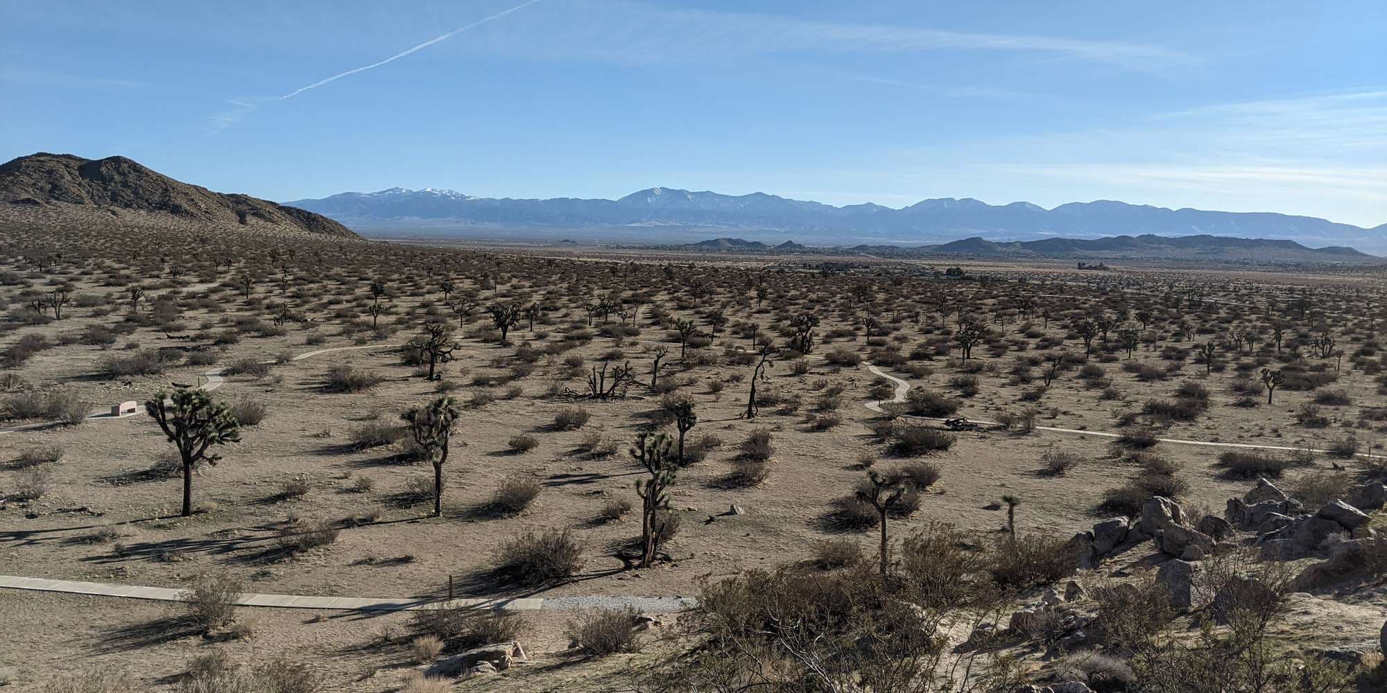 Second image to compare