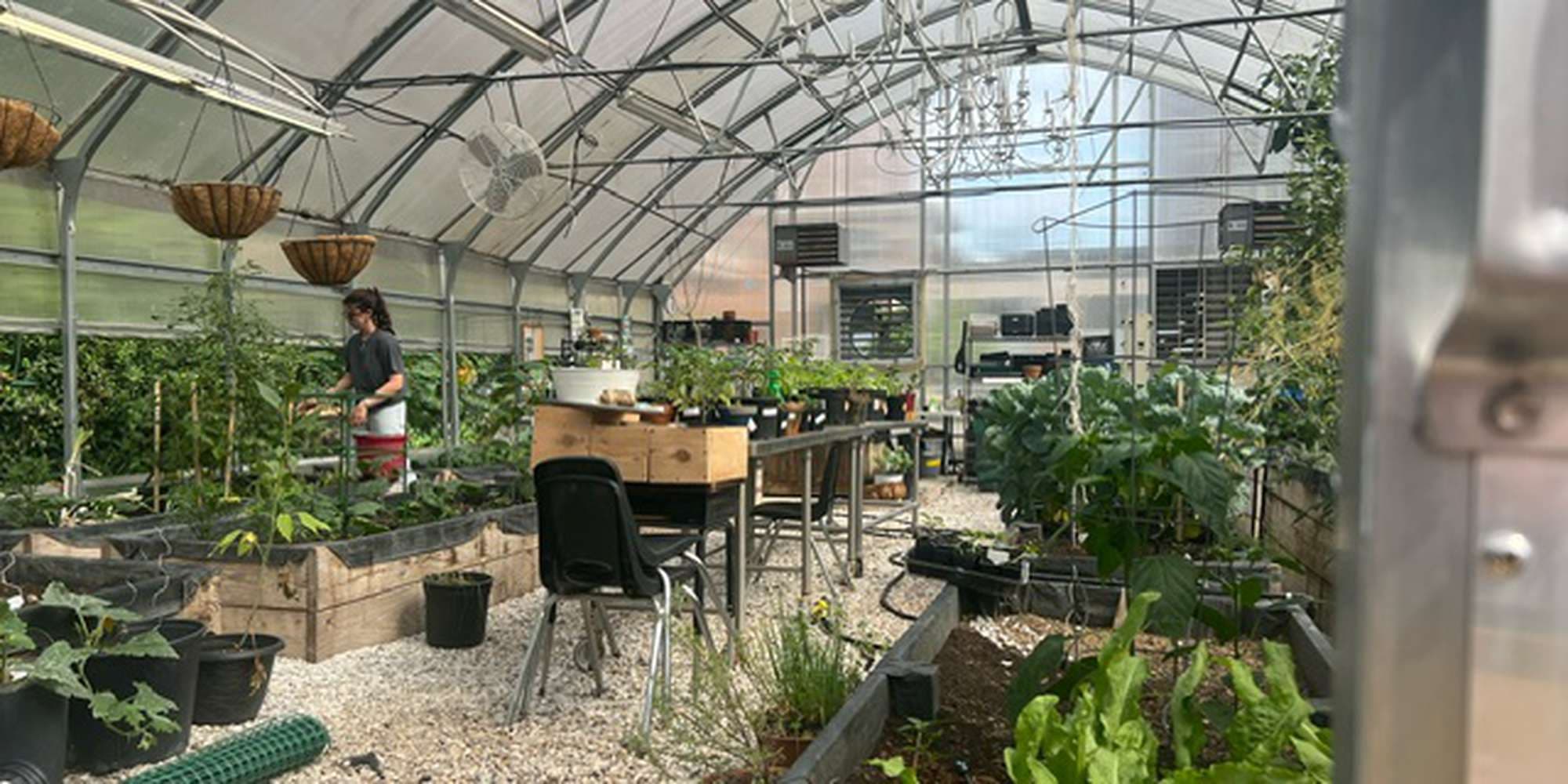 Second image to compare