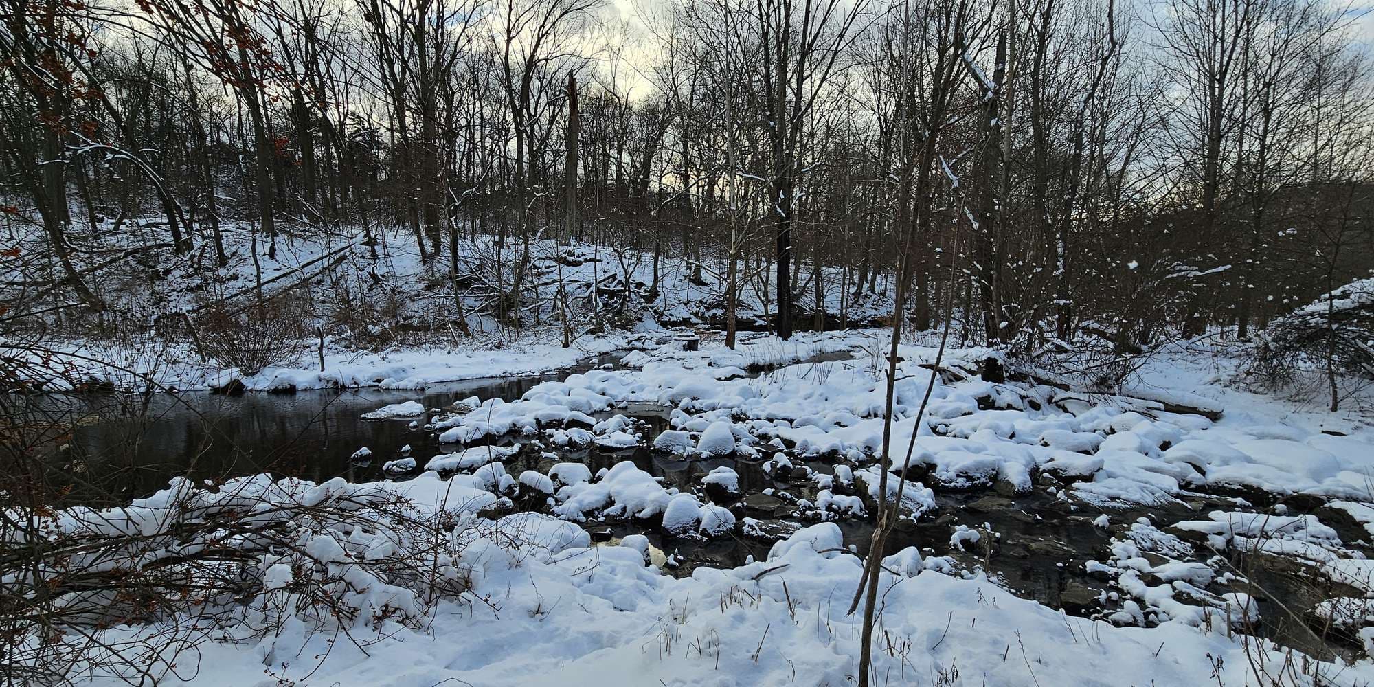 Second image to compare