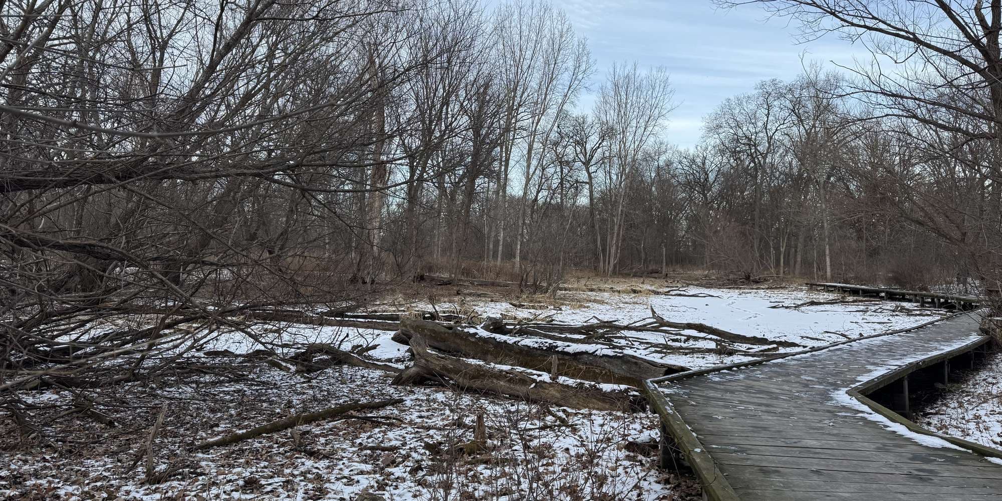 Second image to compare