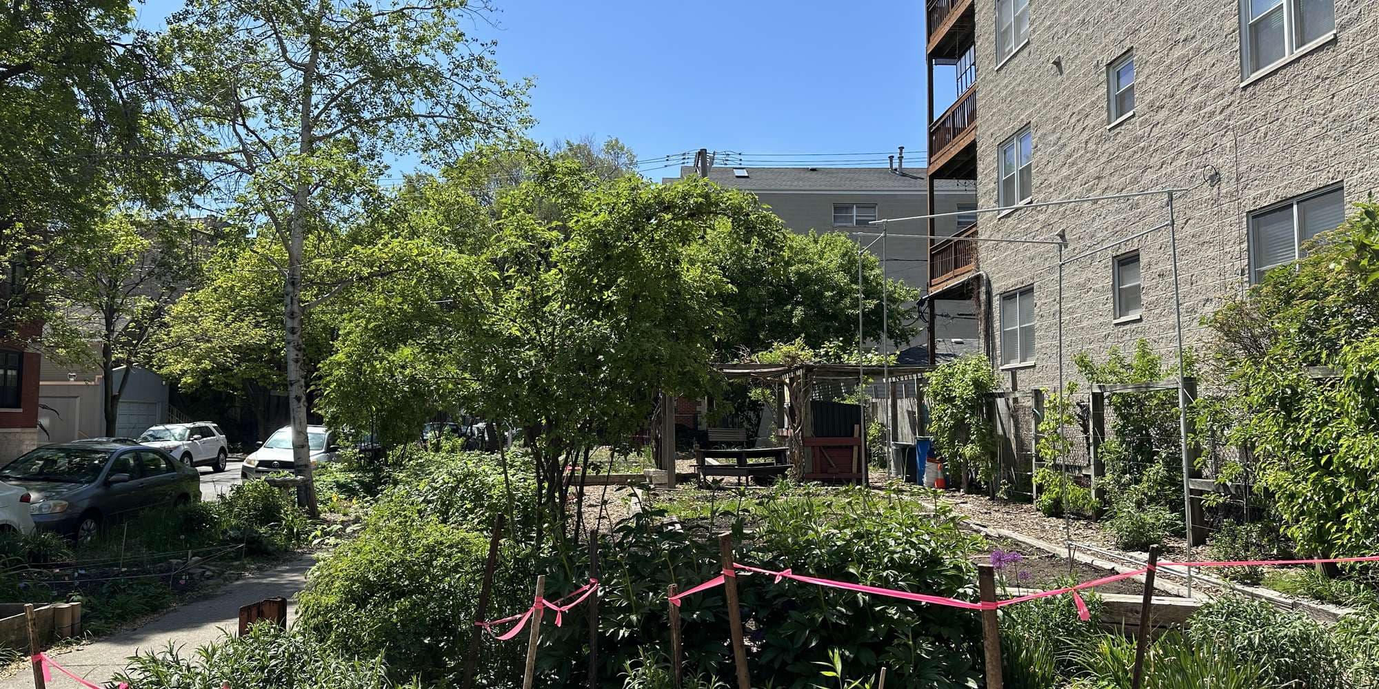 Second image to compare