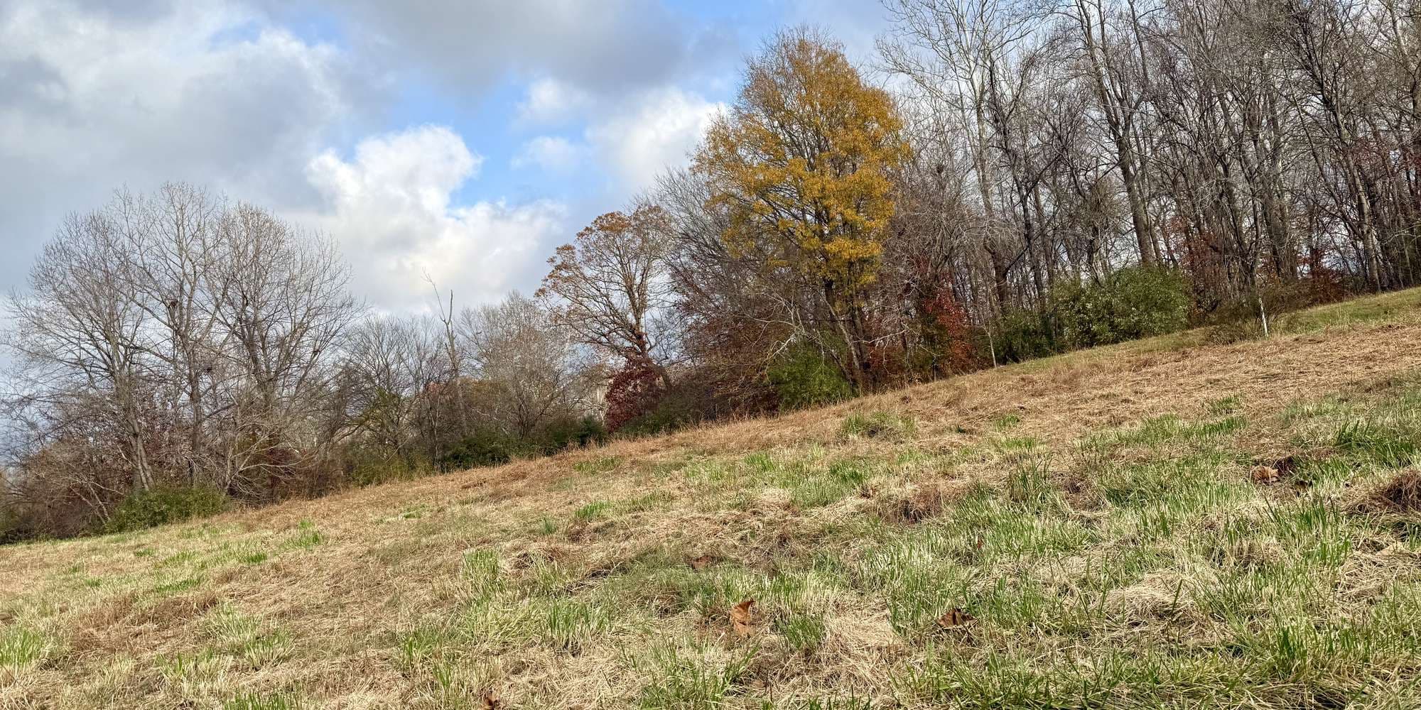 Second image to compare