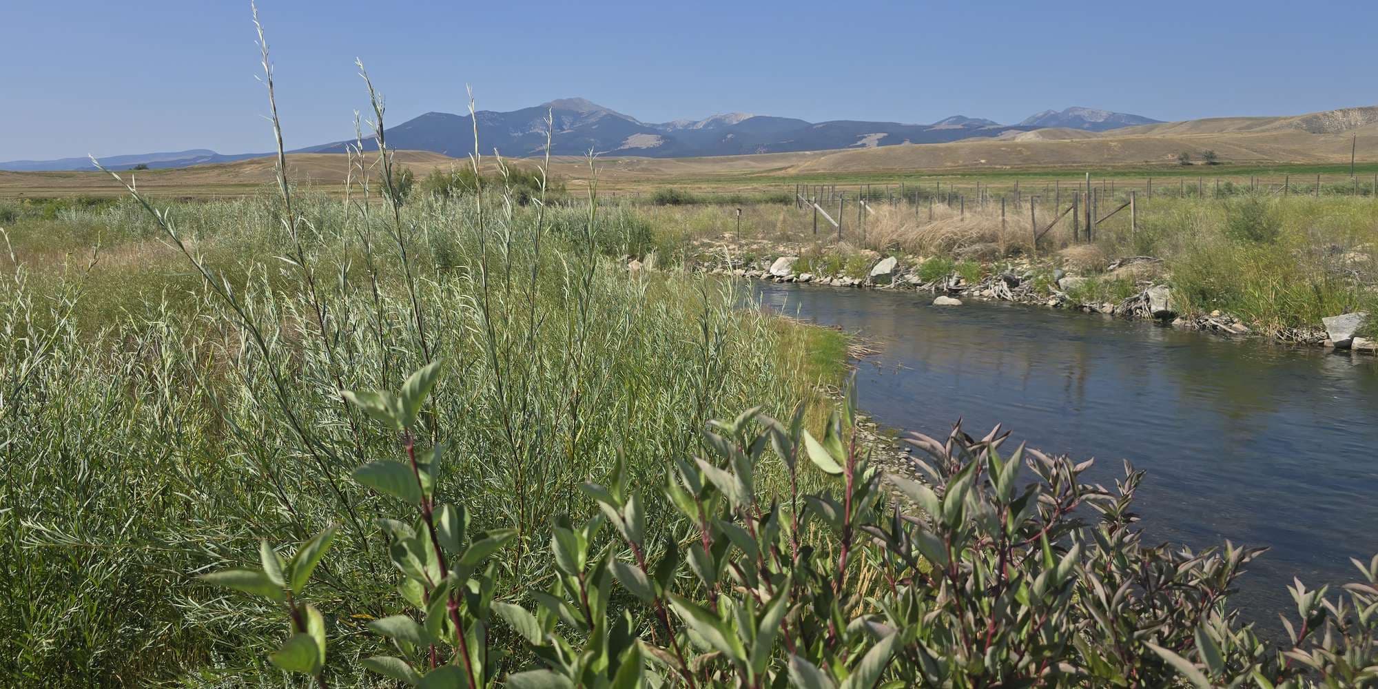 Second image to compare