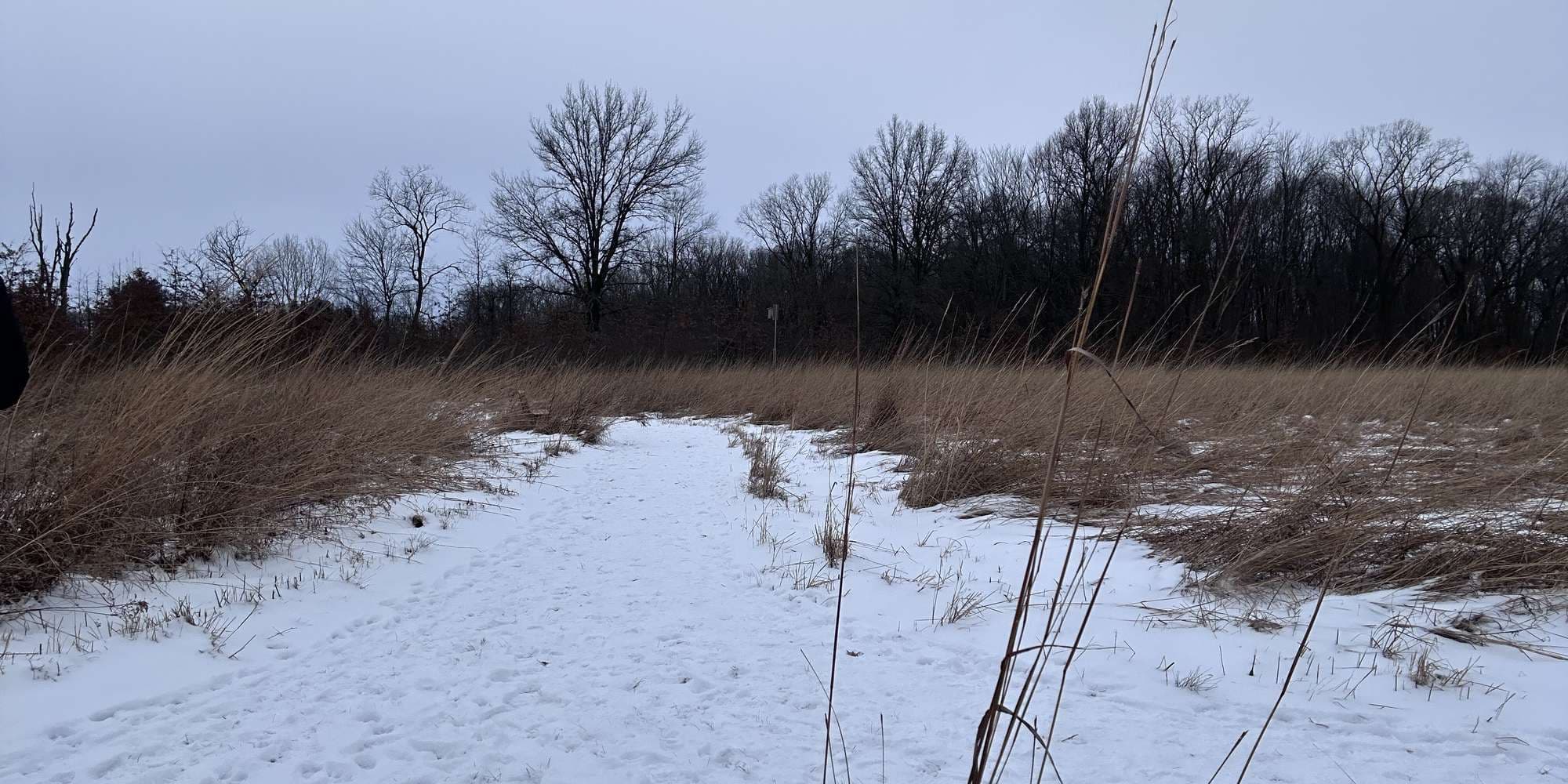 Second image to compare