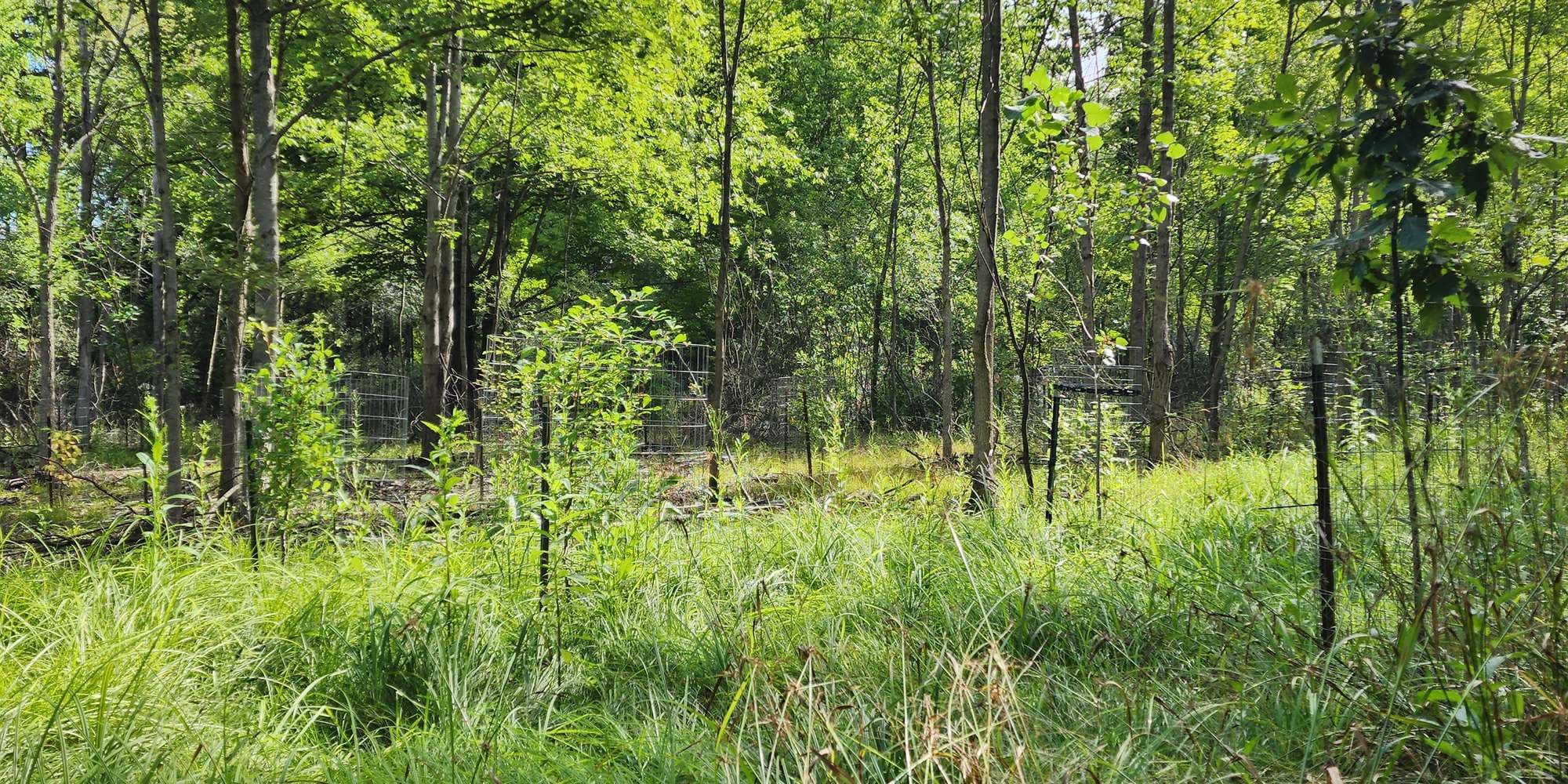 First image to compare