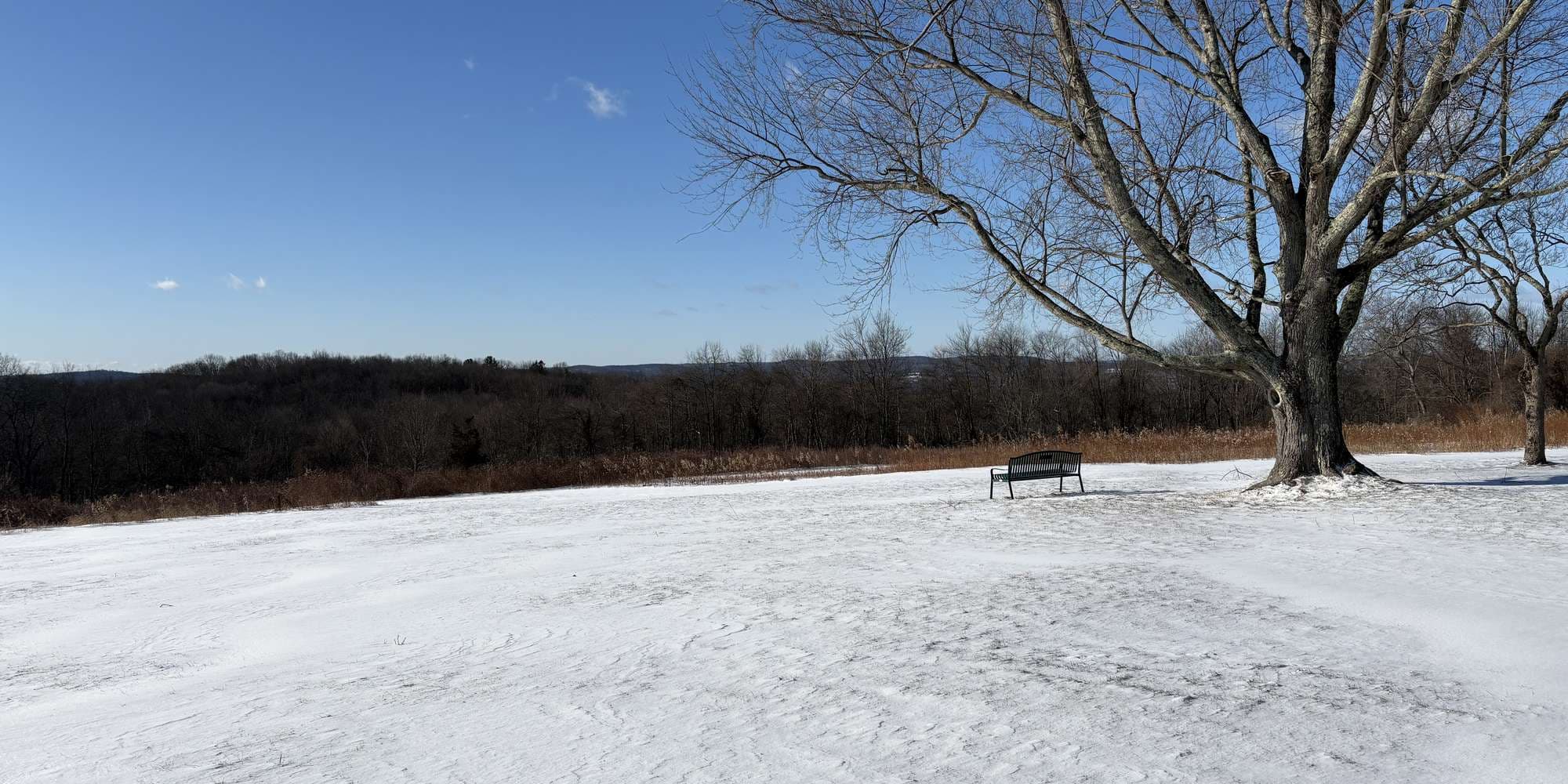 Second image to compare