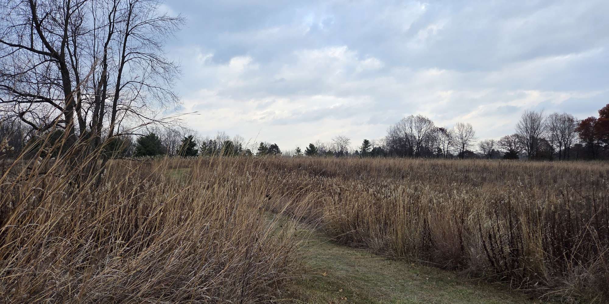 Second image to compare