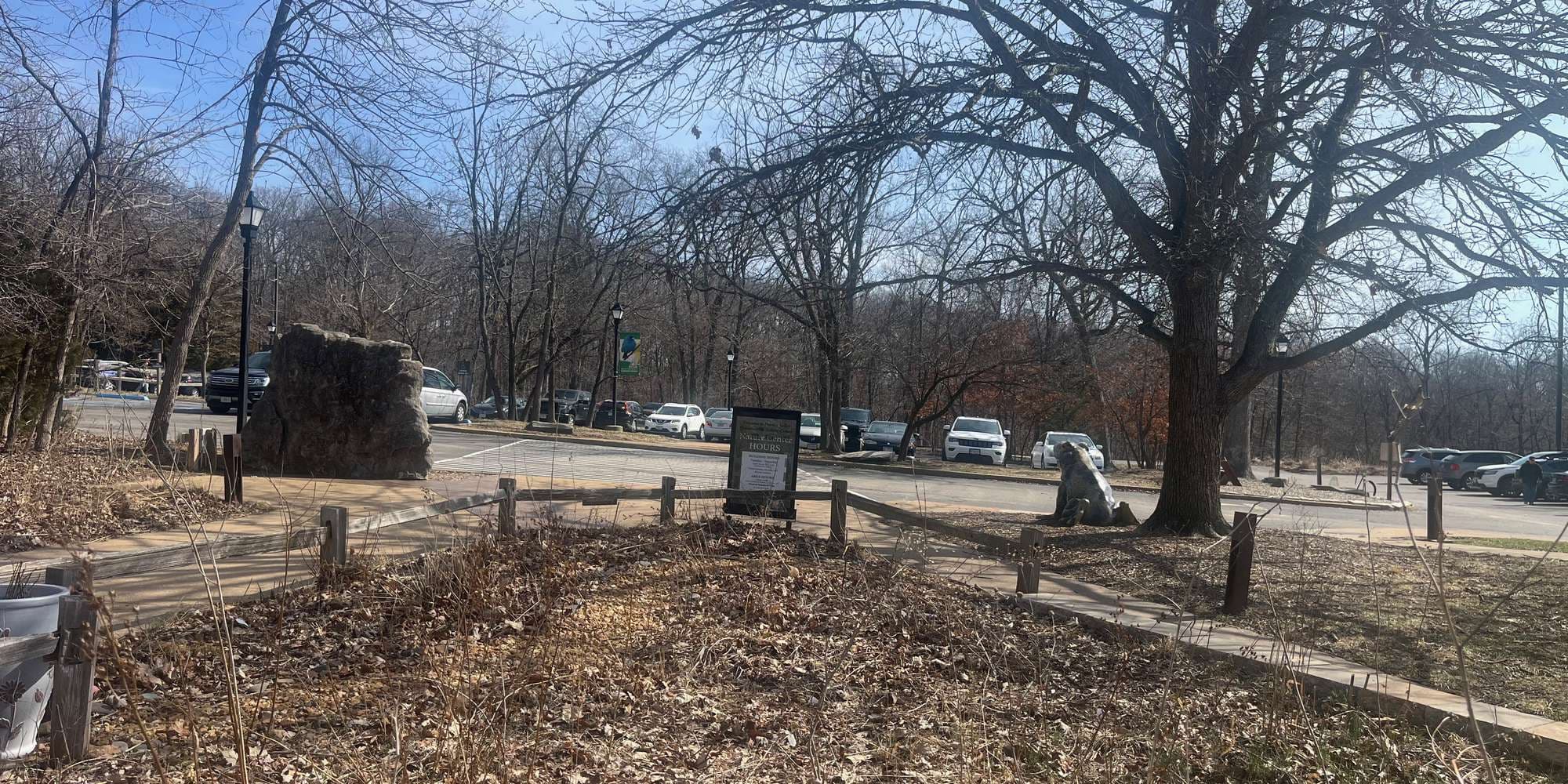 Second image to compare