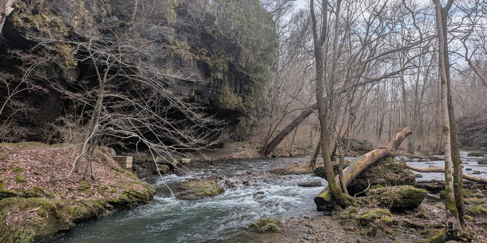 Second image to compare