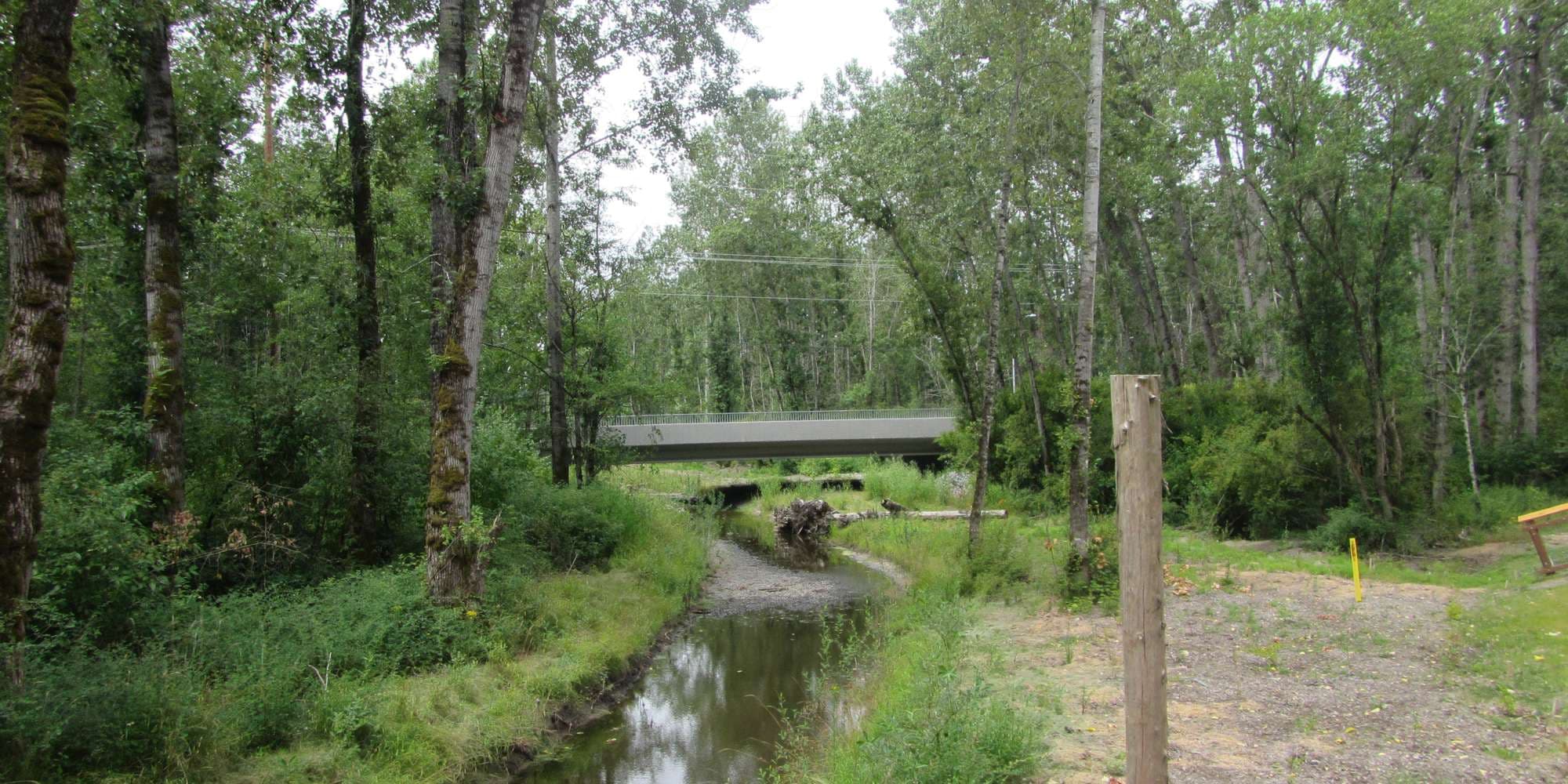 First image to compare