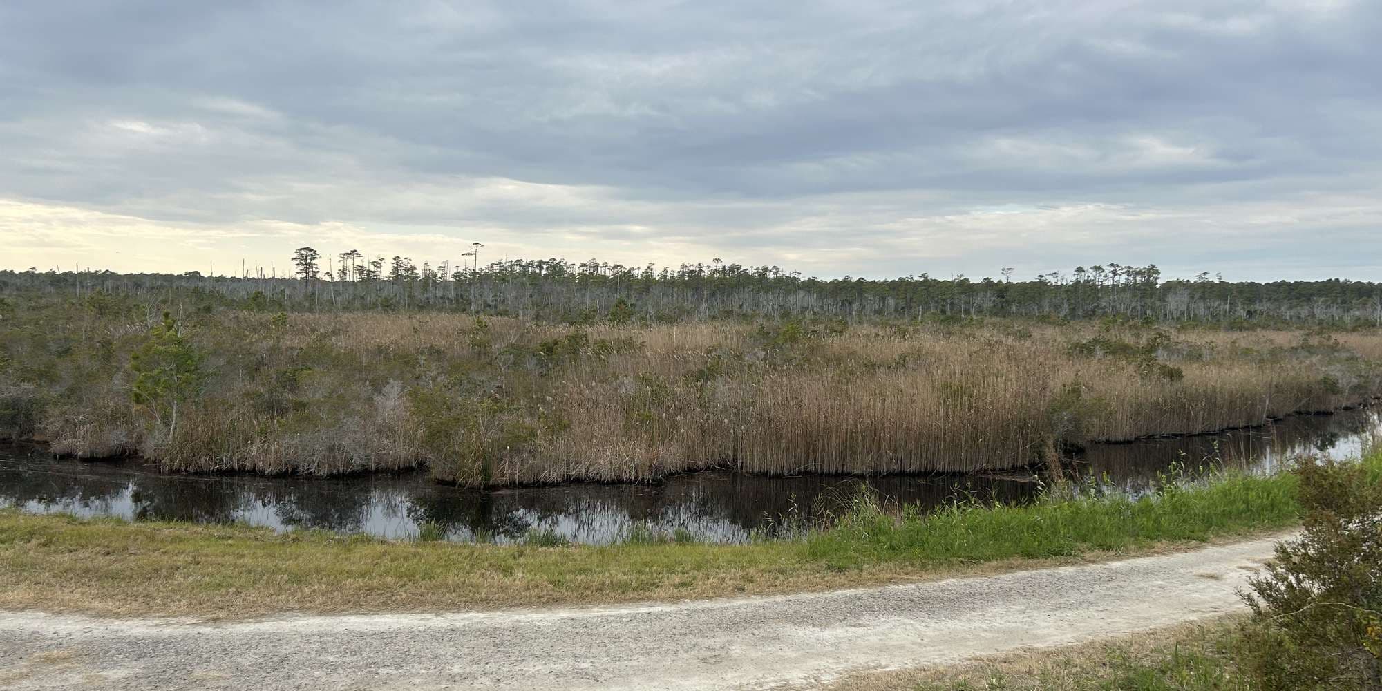 Second image to compare