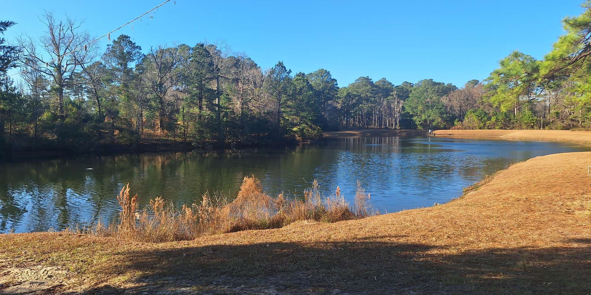 Second image to compare