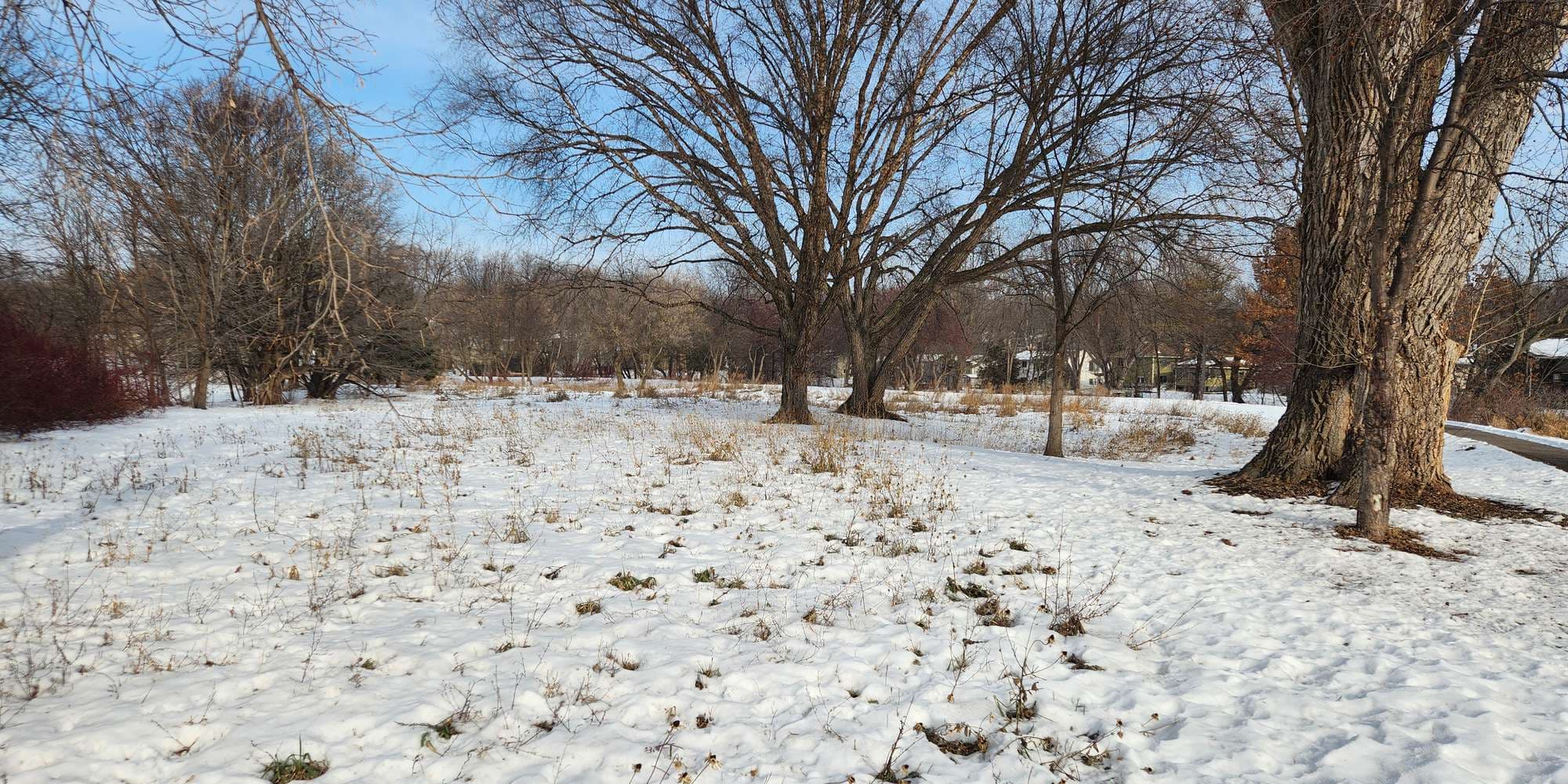 Second image to compare