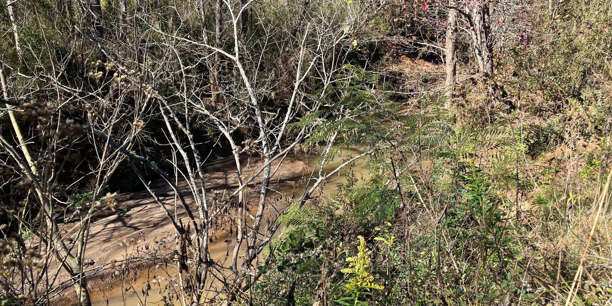 Second image to compare