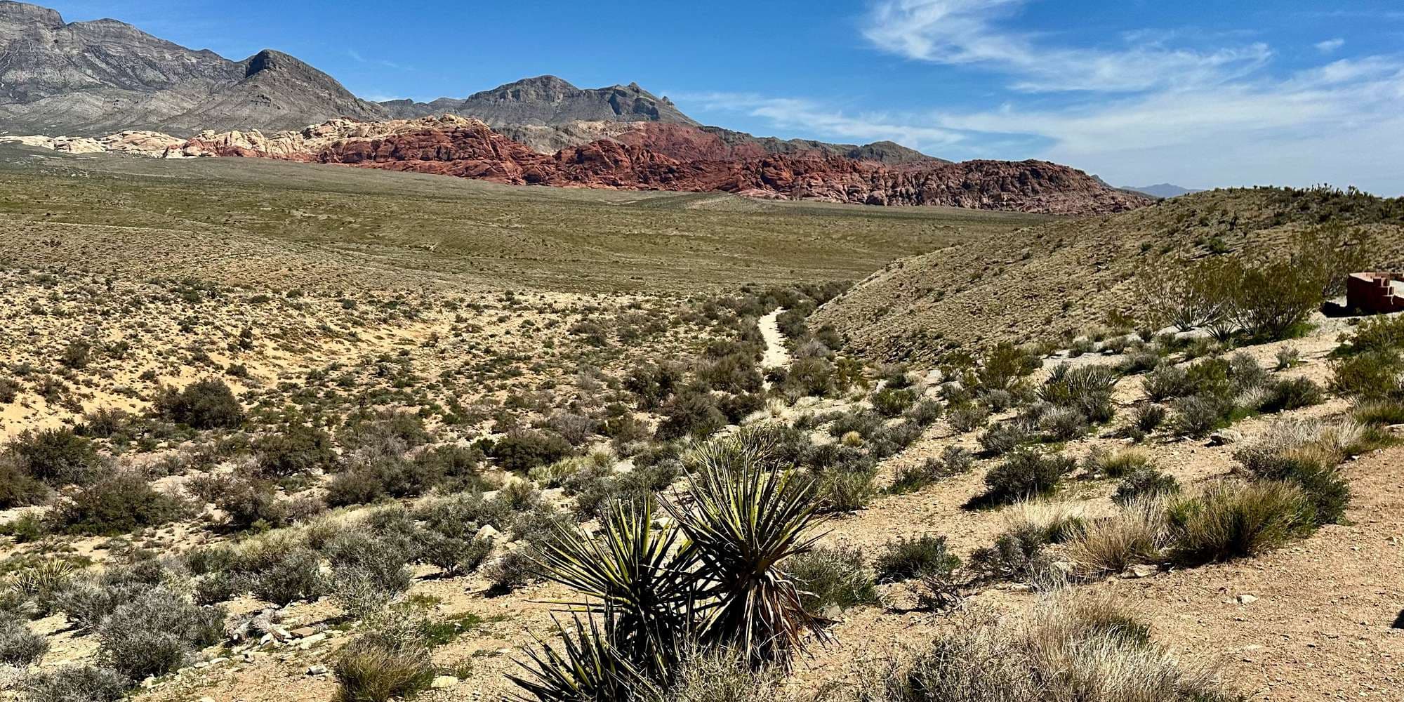 Second image to compare