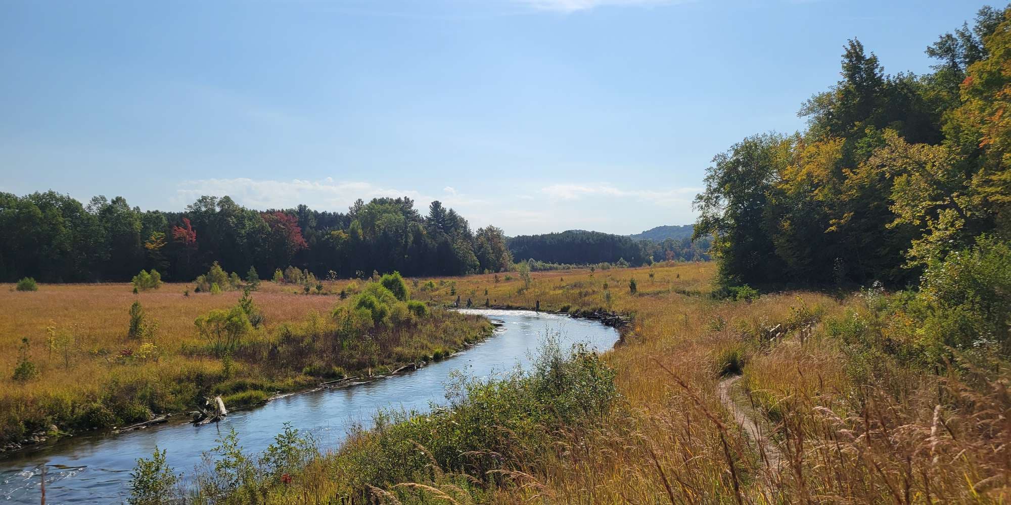 Second image to compare