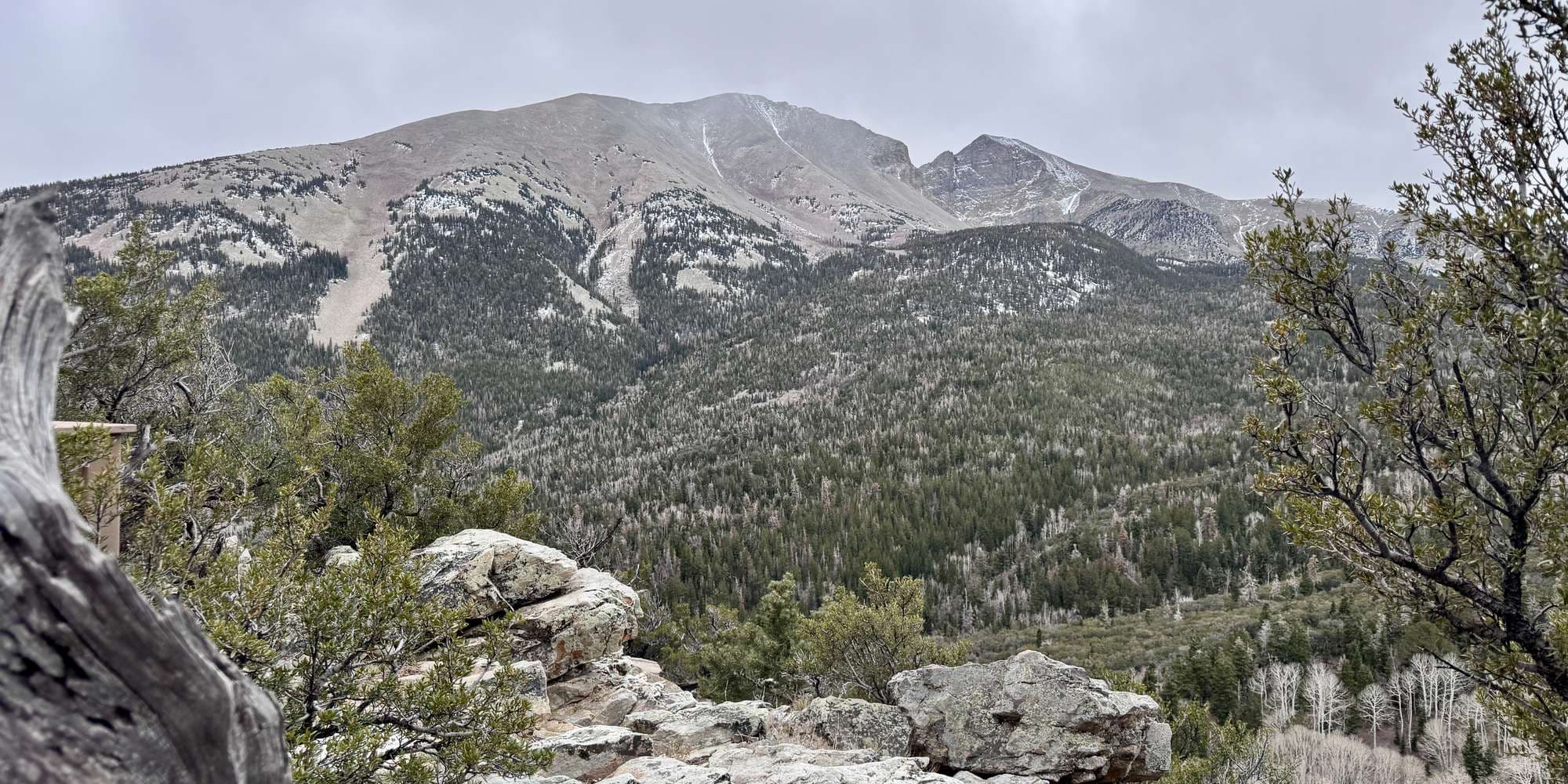 Second image to compare