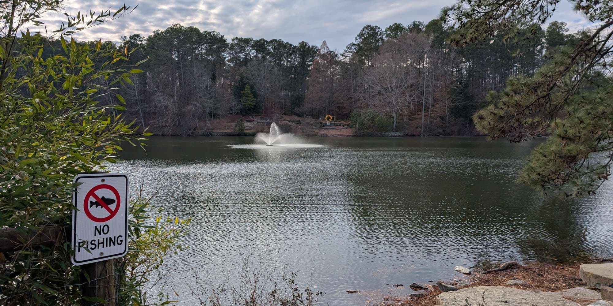 Second image to compare