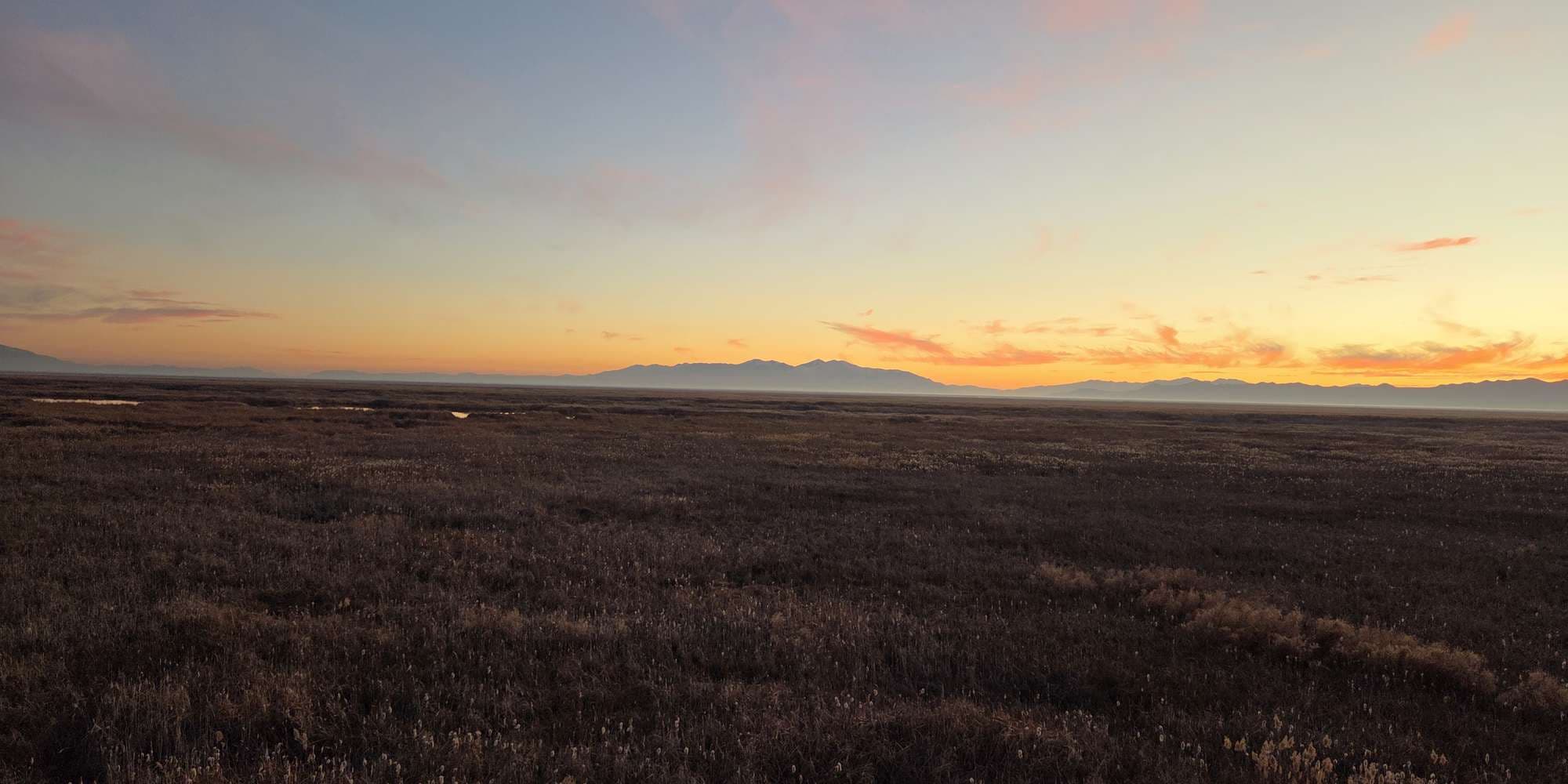 Second image to compare