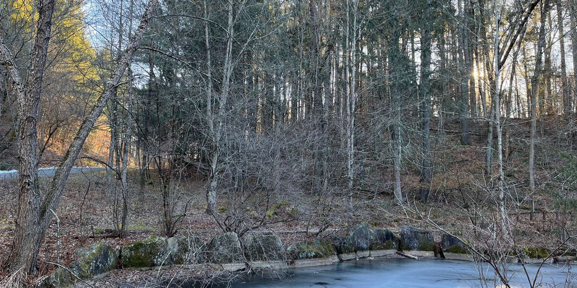 Second image to compare