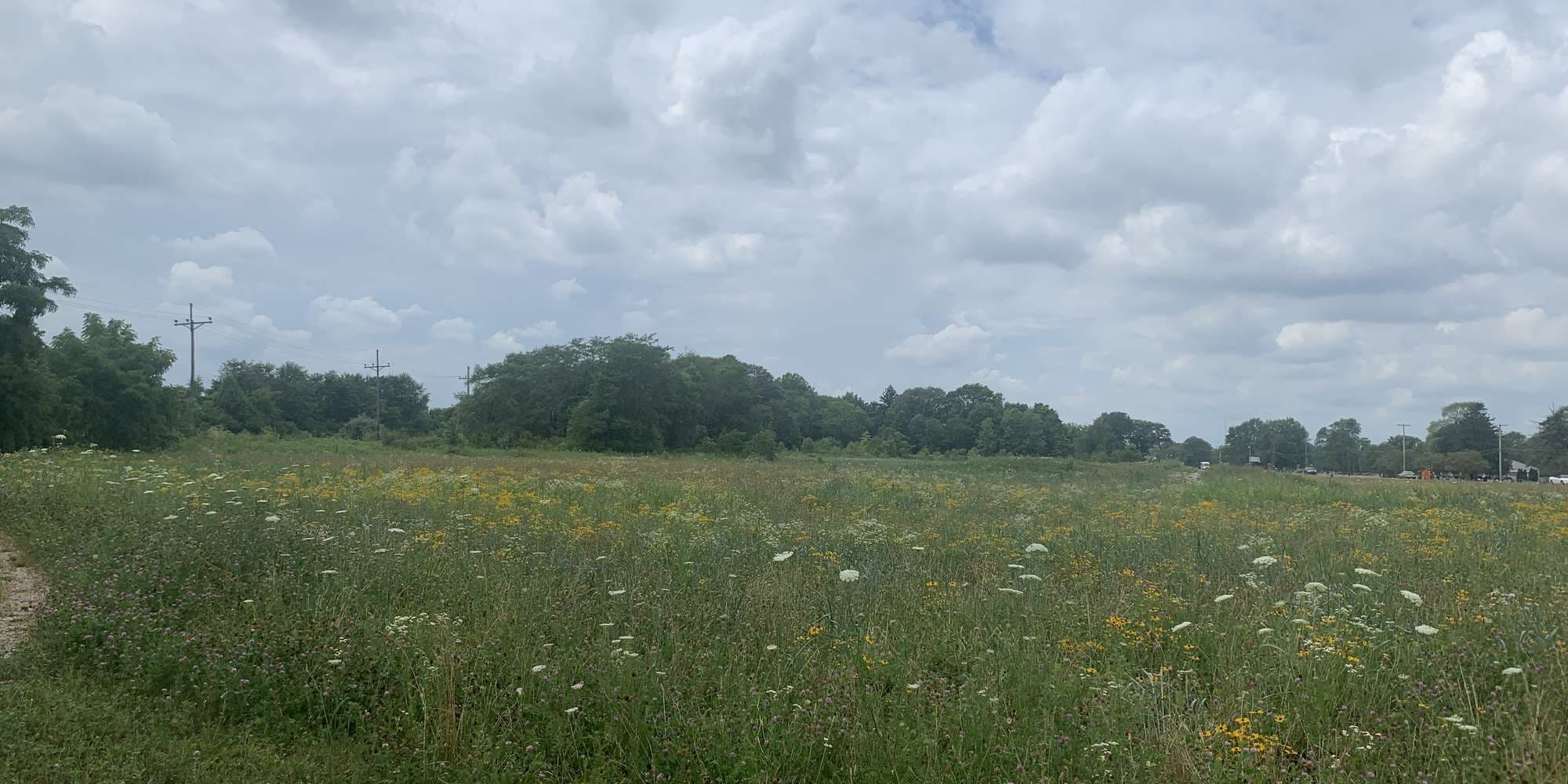 First image to compare