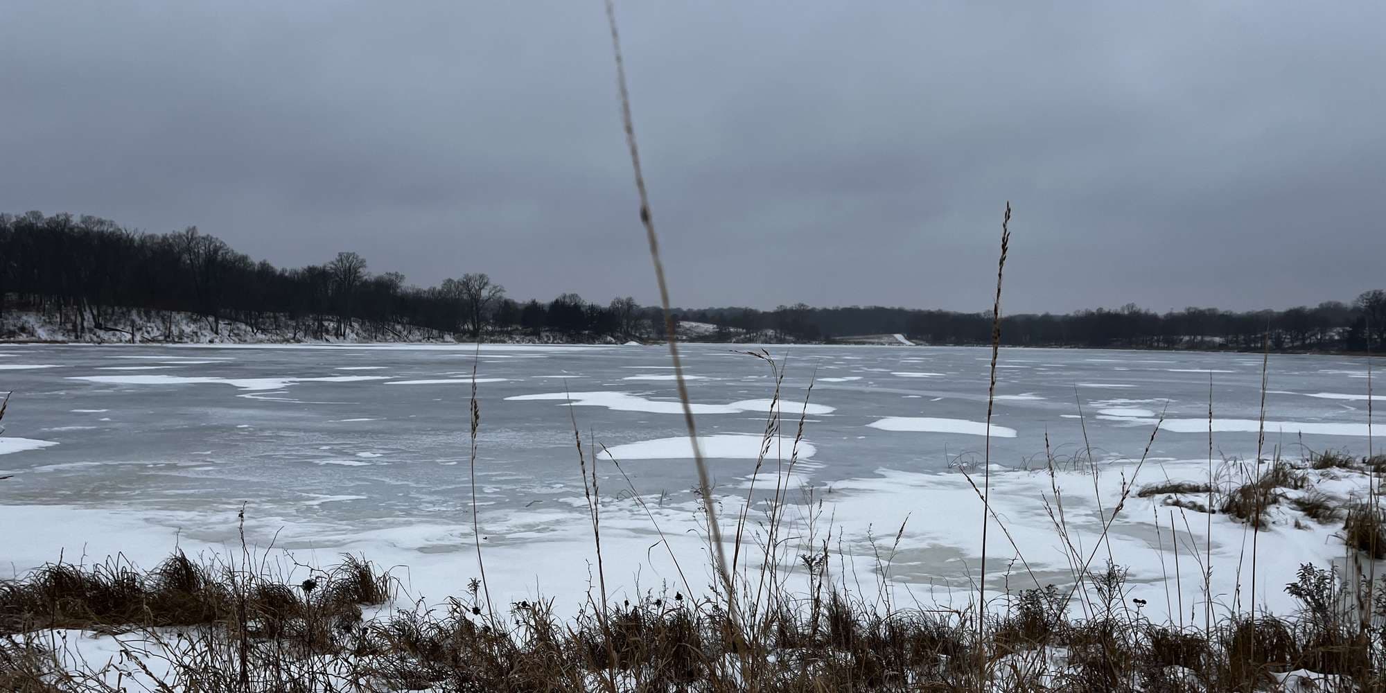 Second image to compare