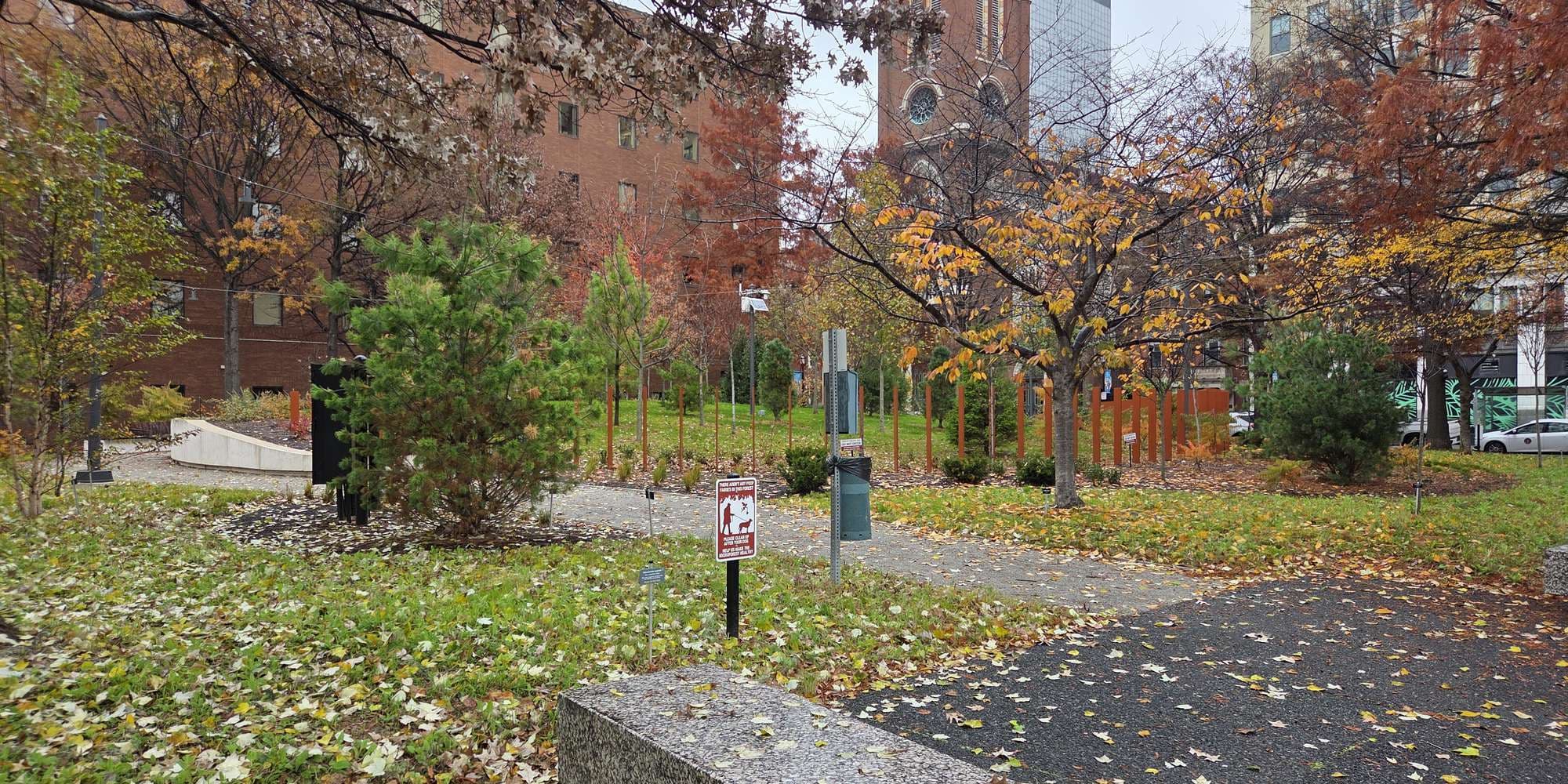 Second image to compare