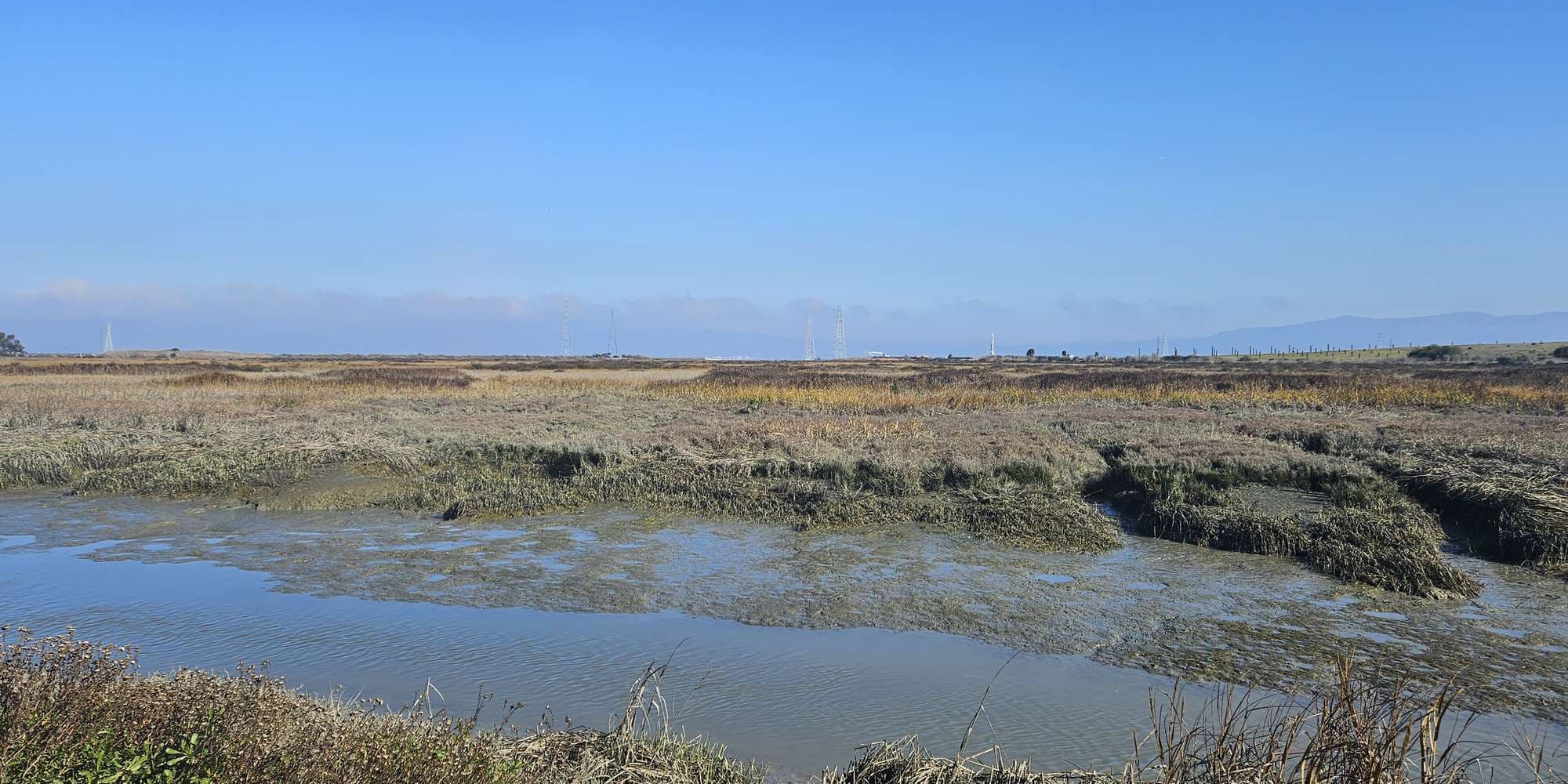 Second image to compare