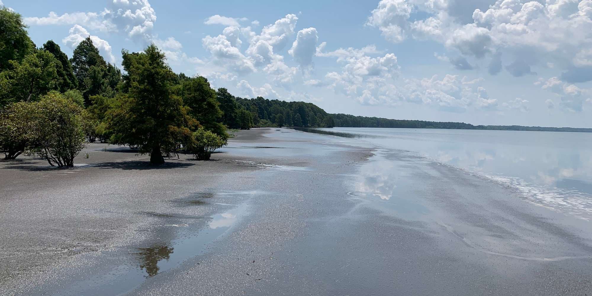 First image to compare