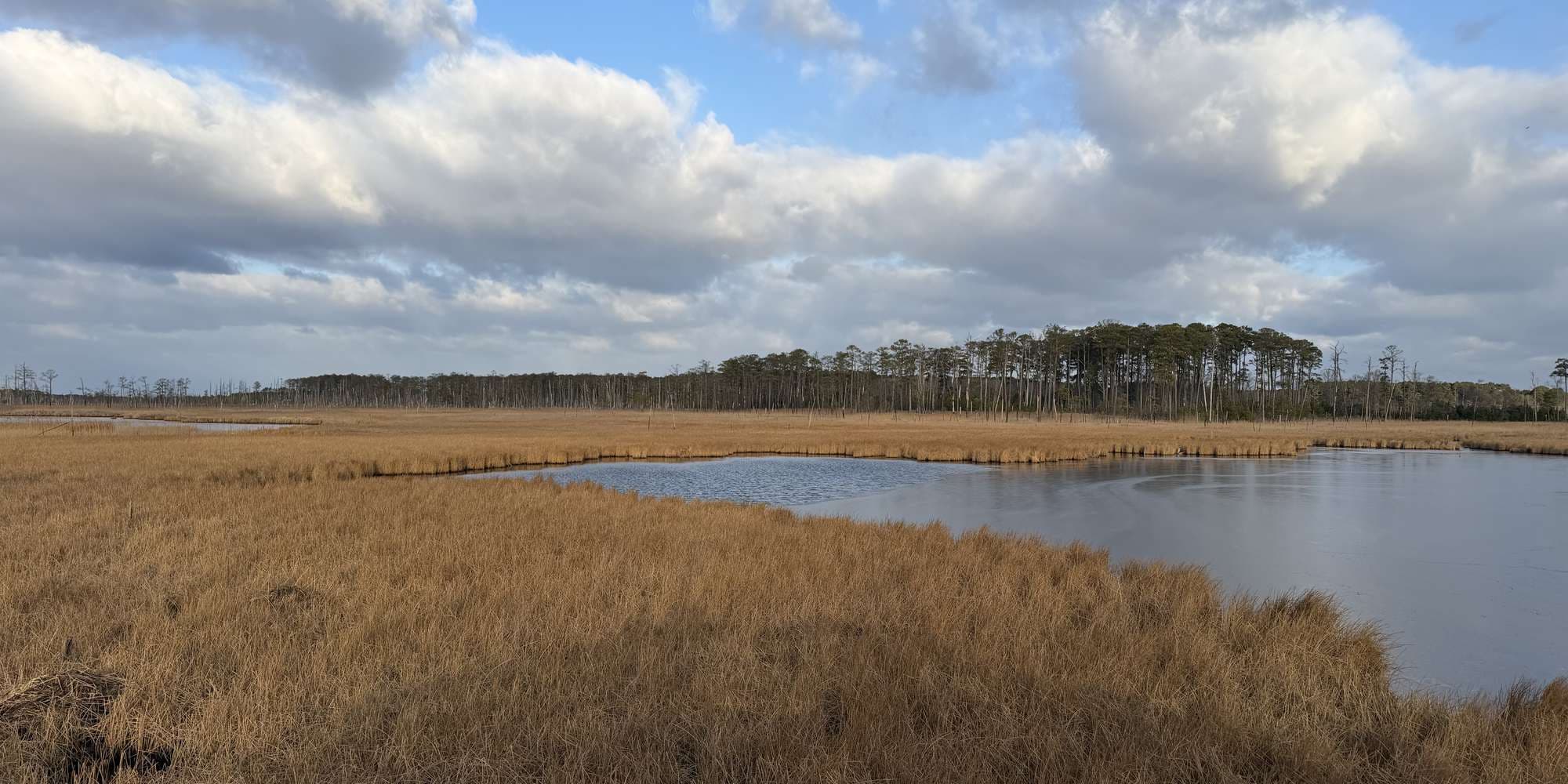 Second image to compare