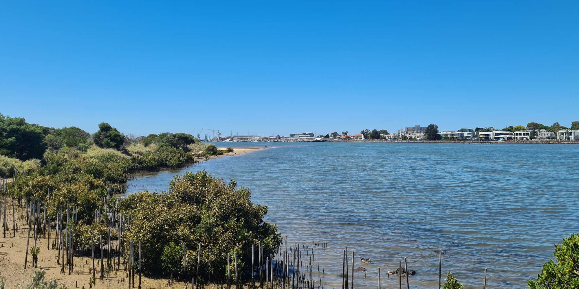 Second image to compare