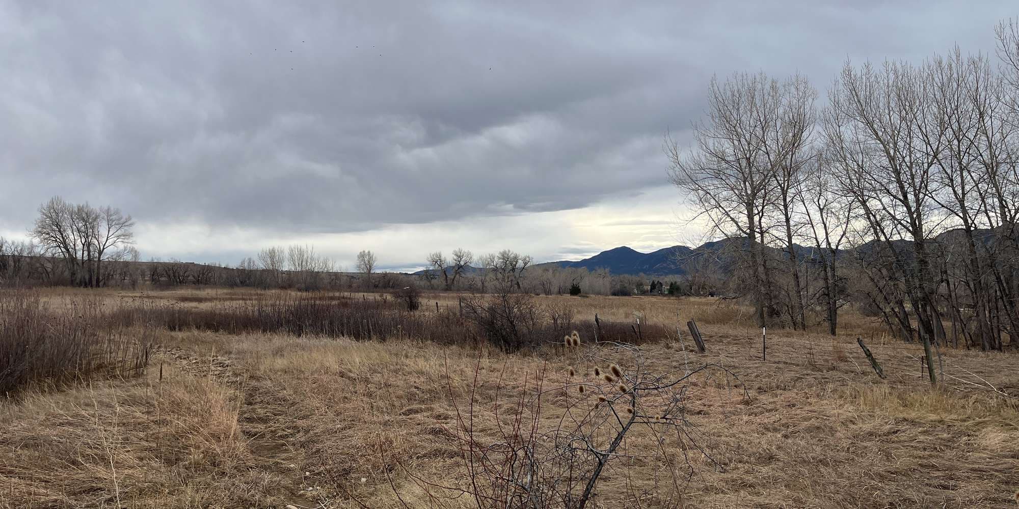 Second image to compare