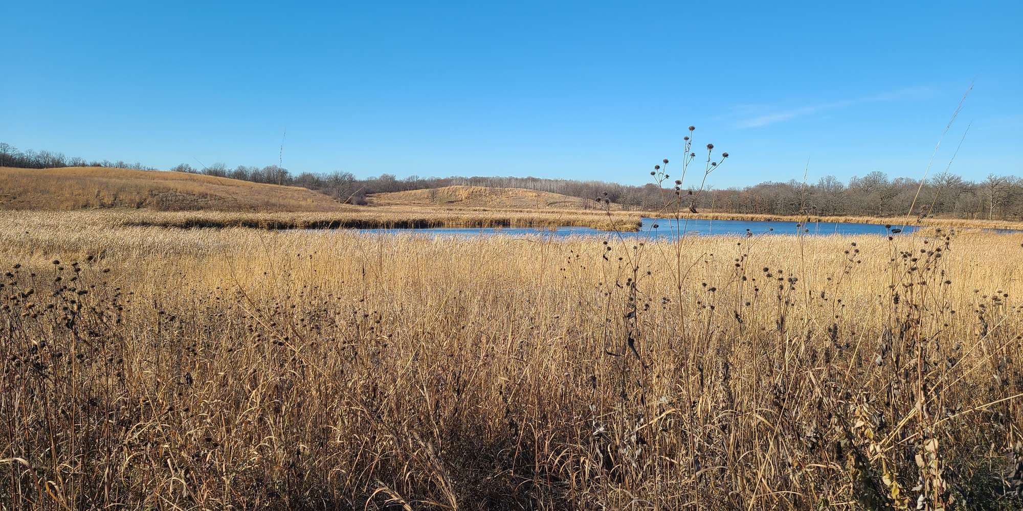 Second image to compare