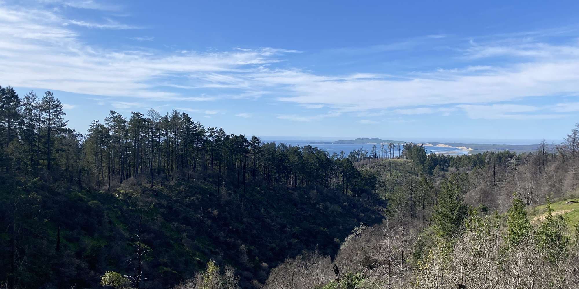 First image to compare