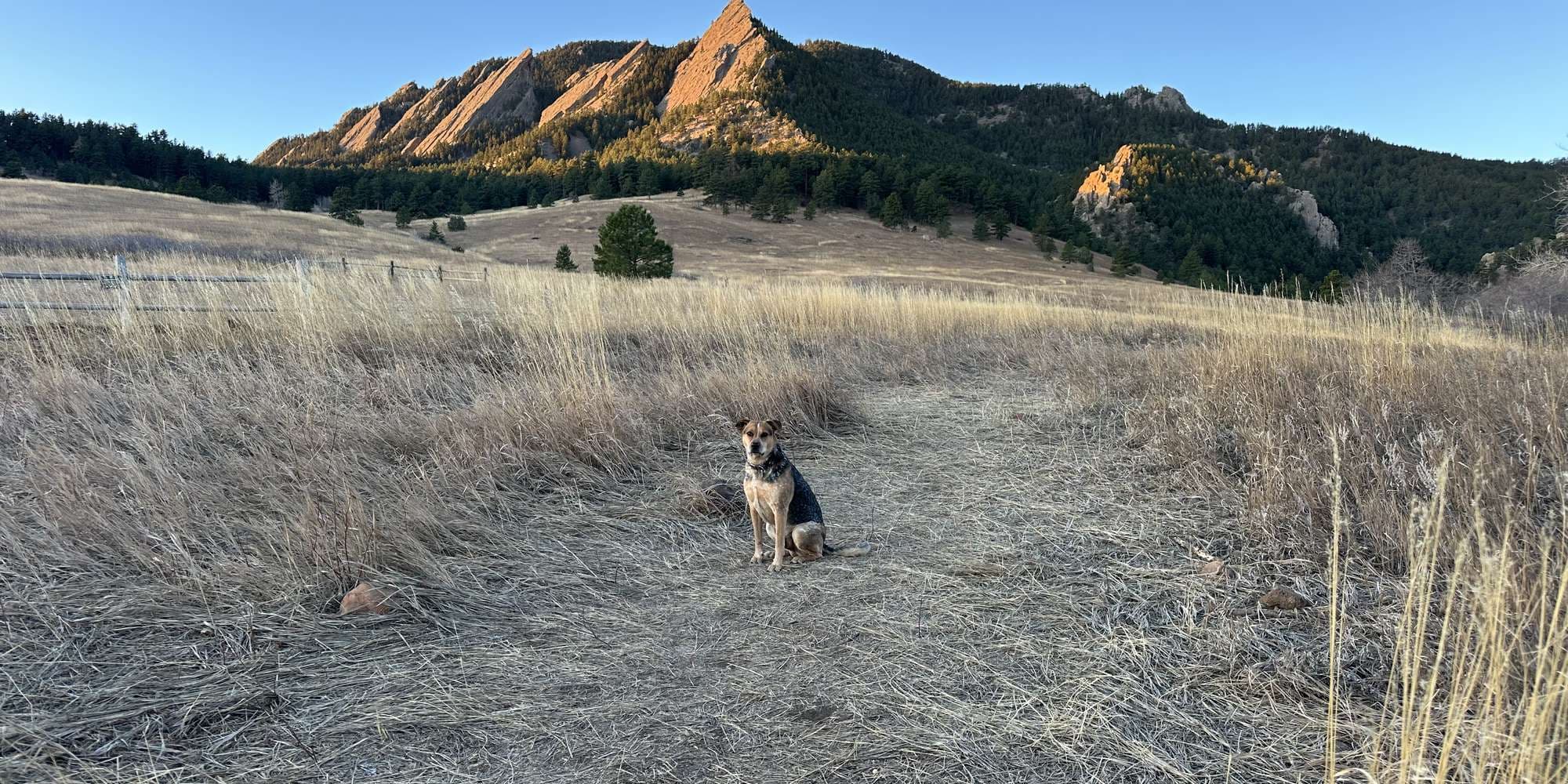 Second image to compare