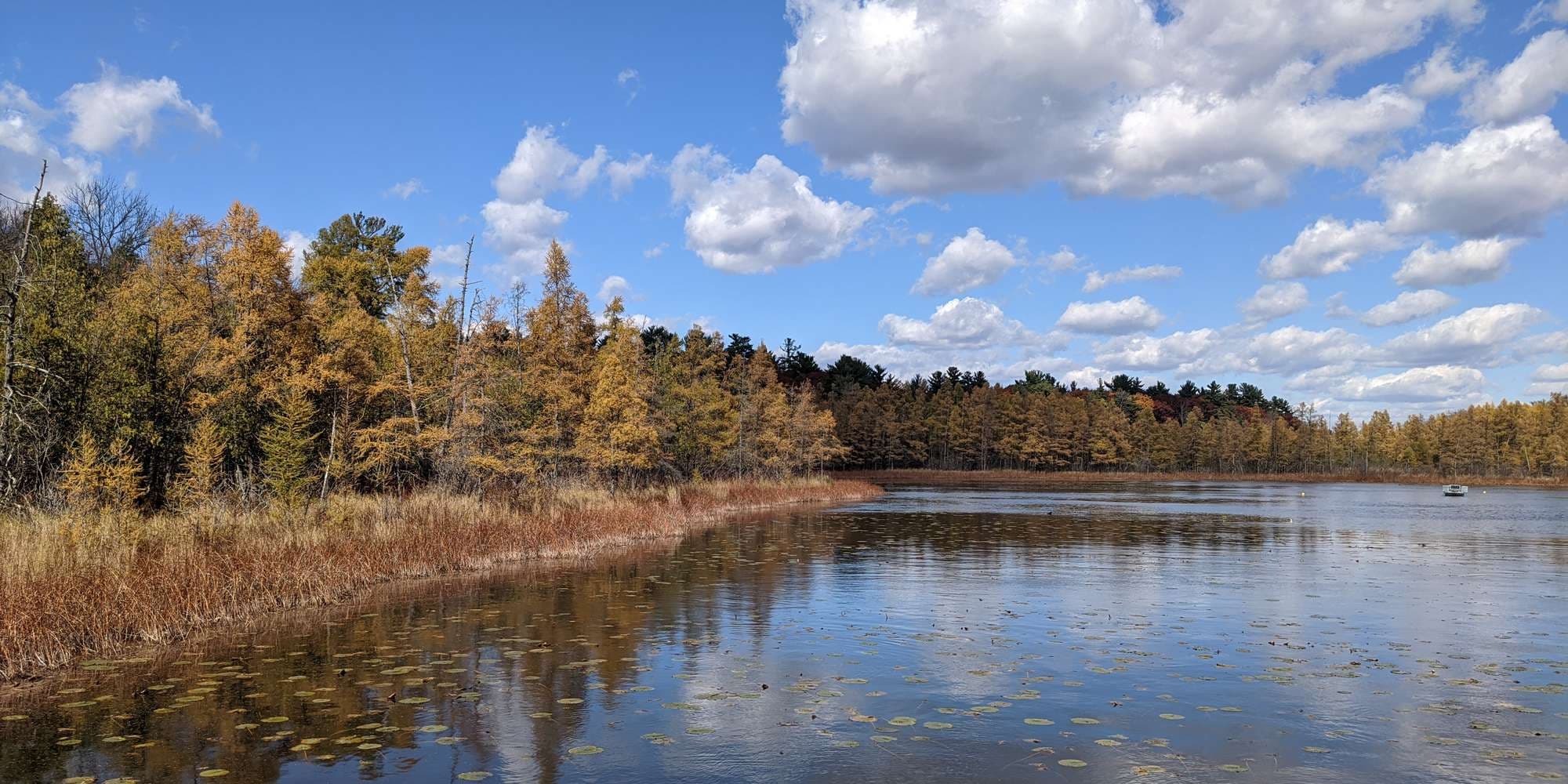 First image to compare