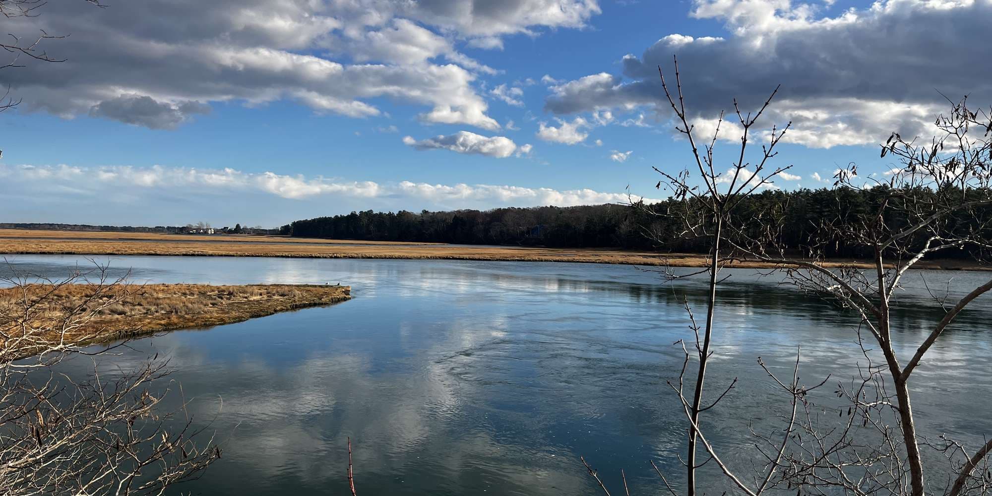 Second image to compare