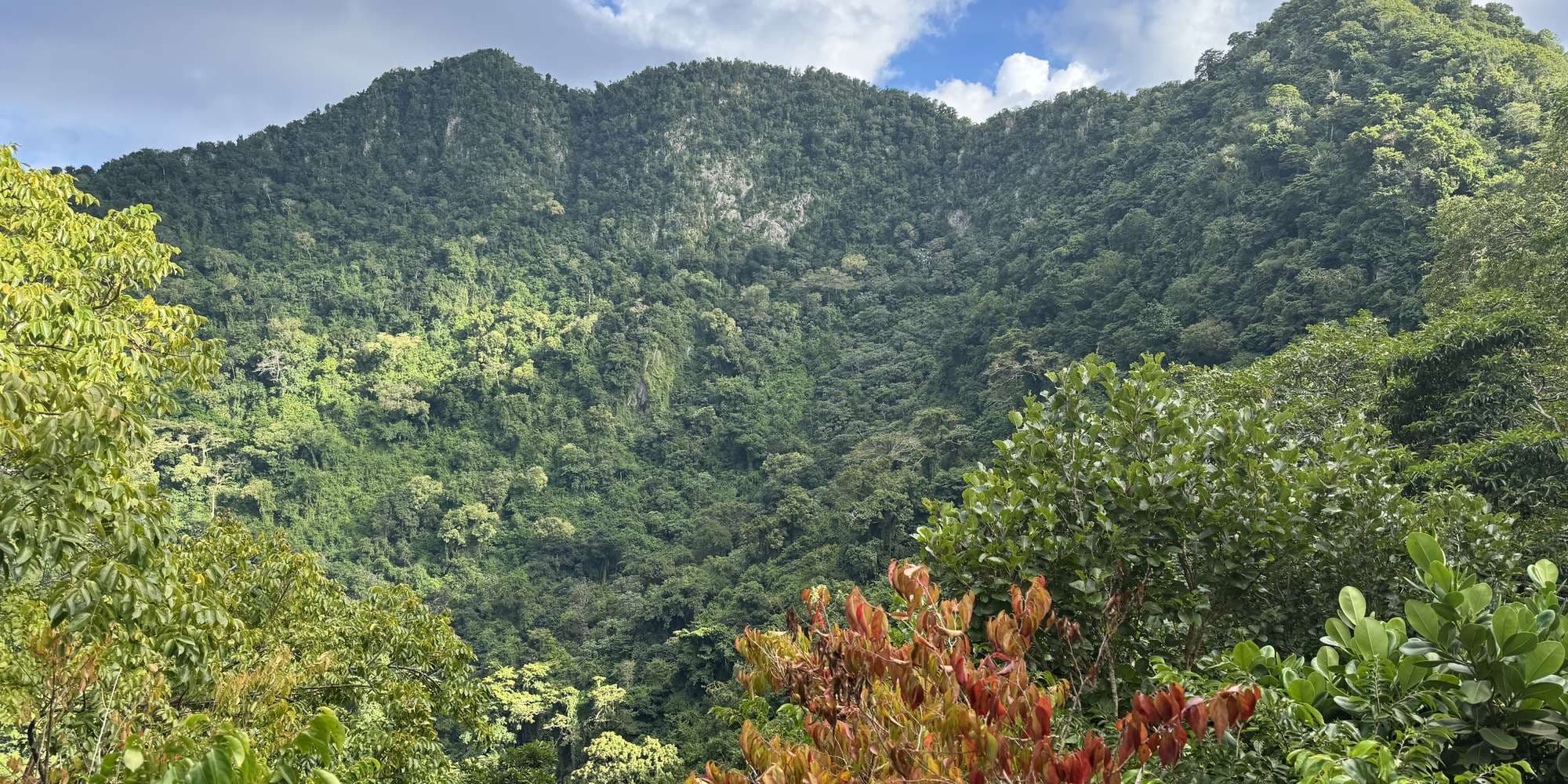 Second image to compare