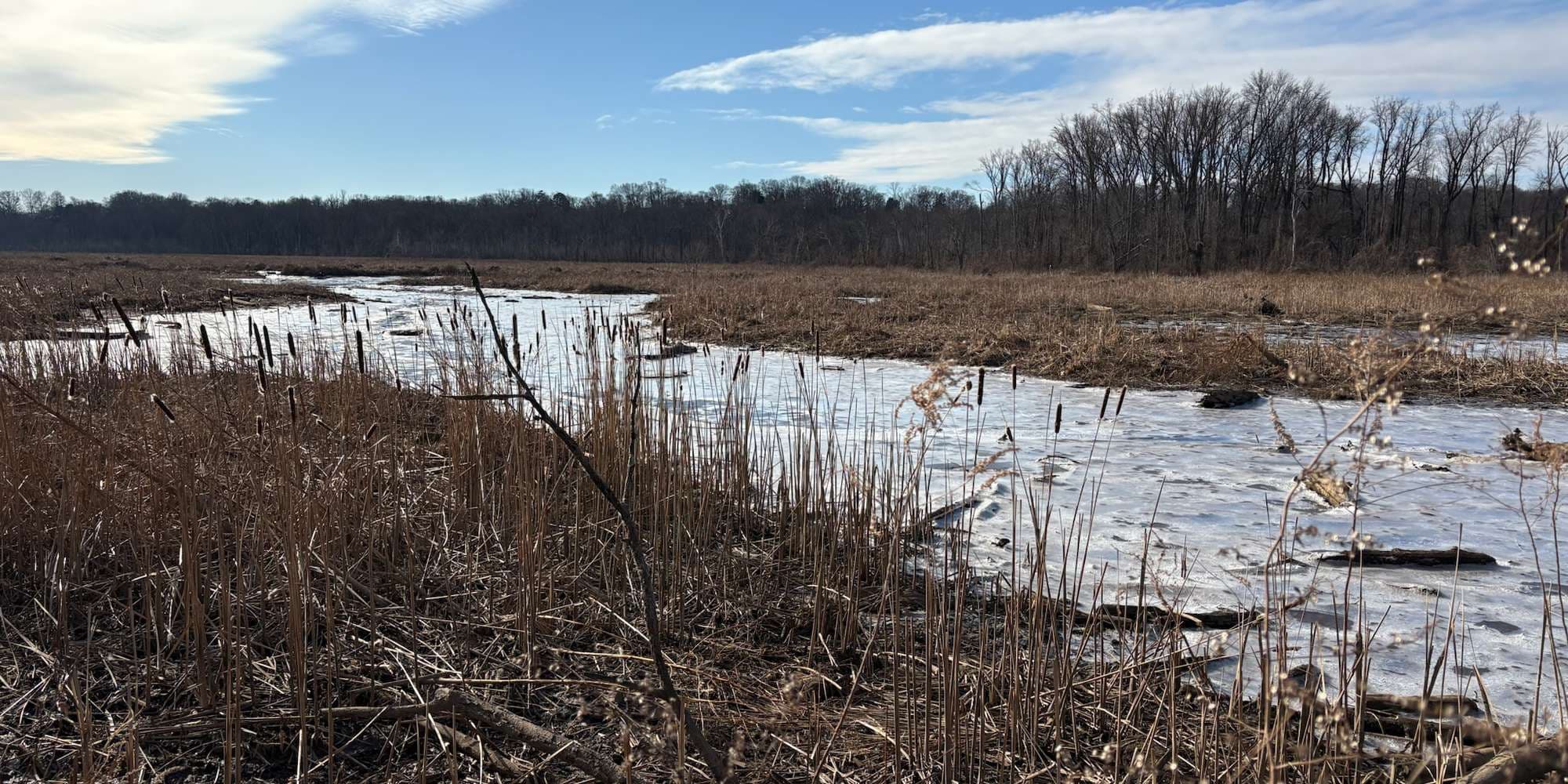 Second image to compare