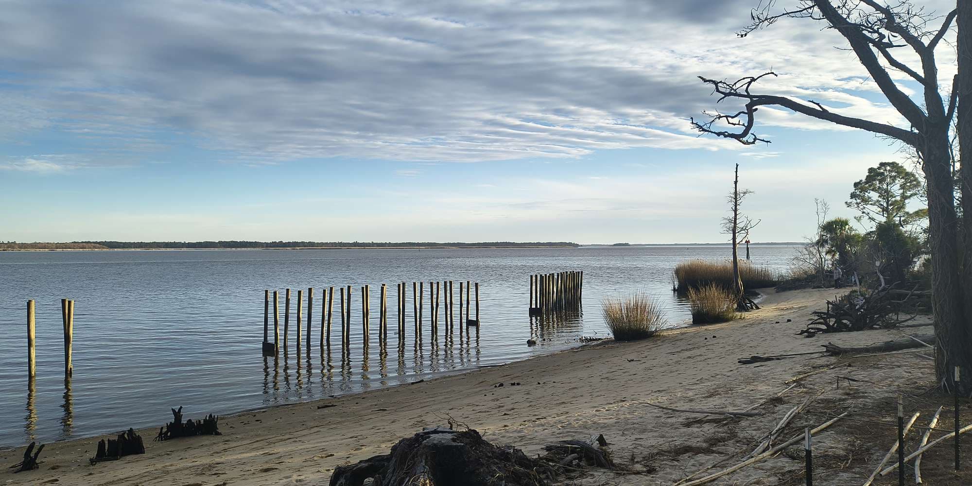 Second image to compare