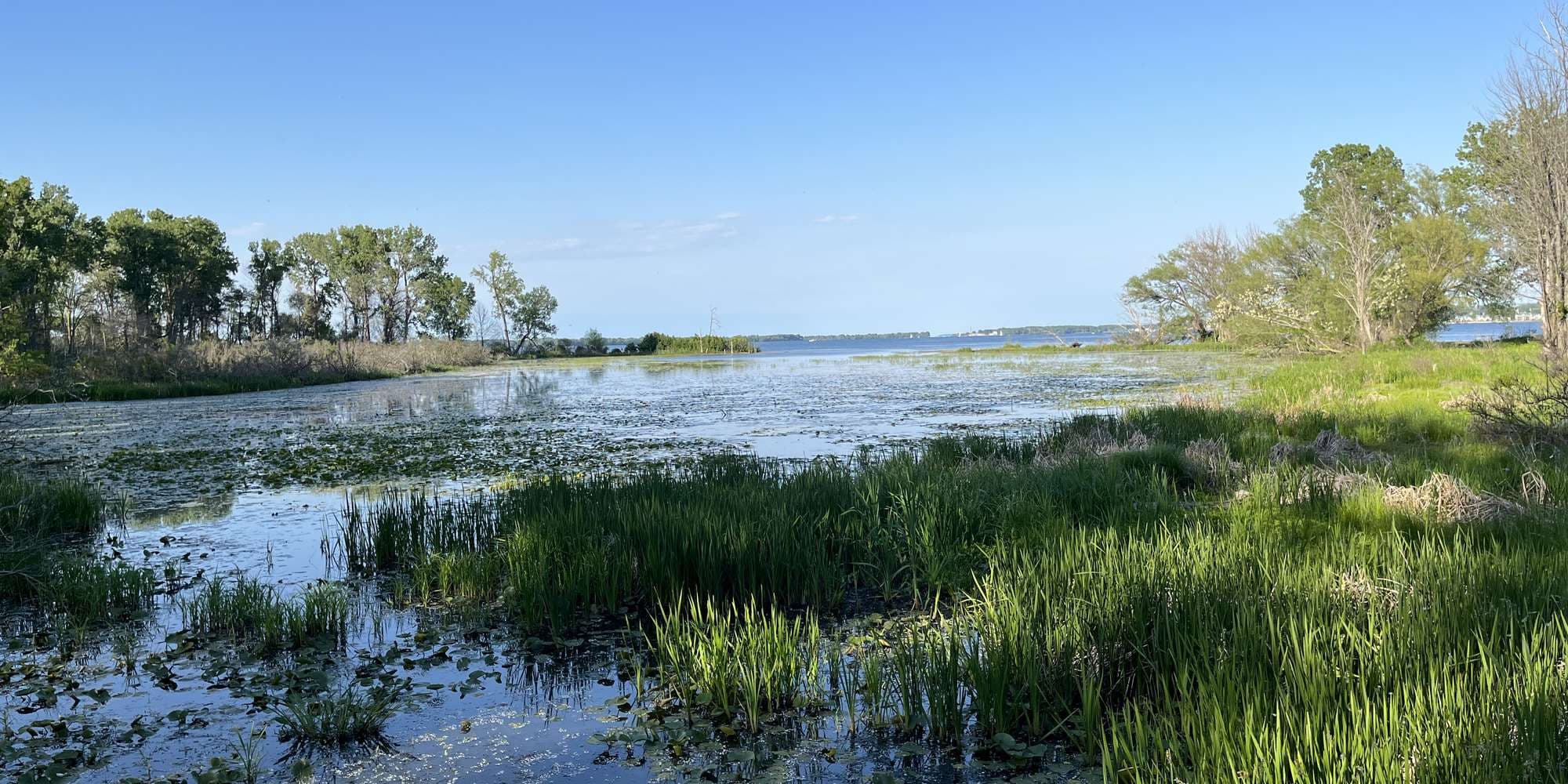 First image to compare