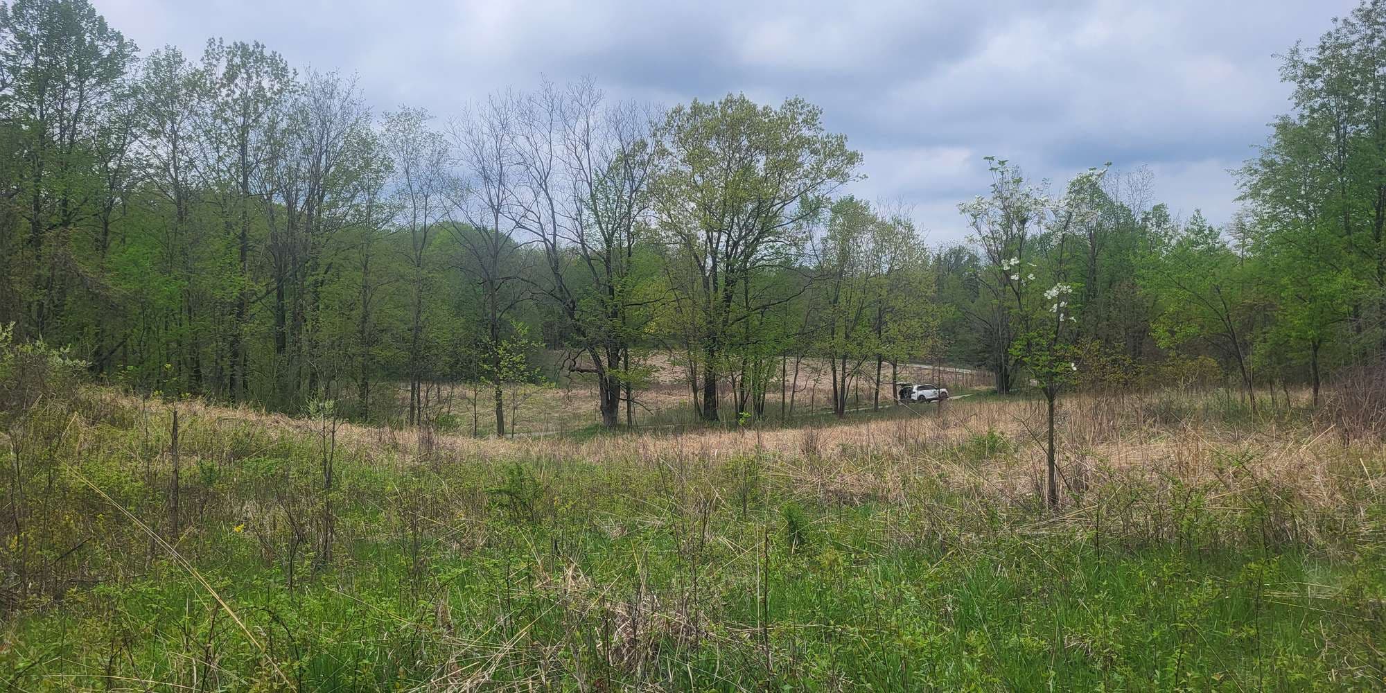 First image to compare