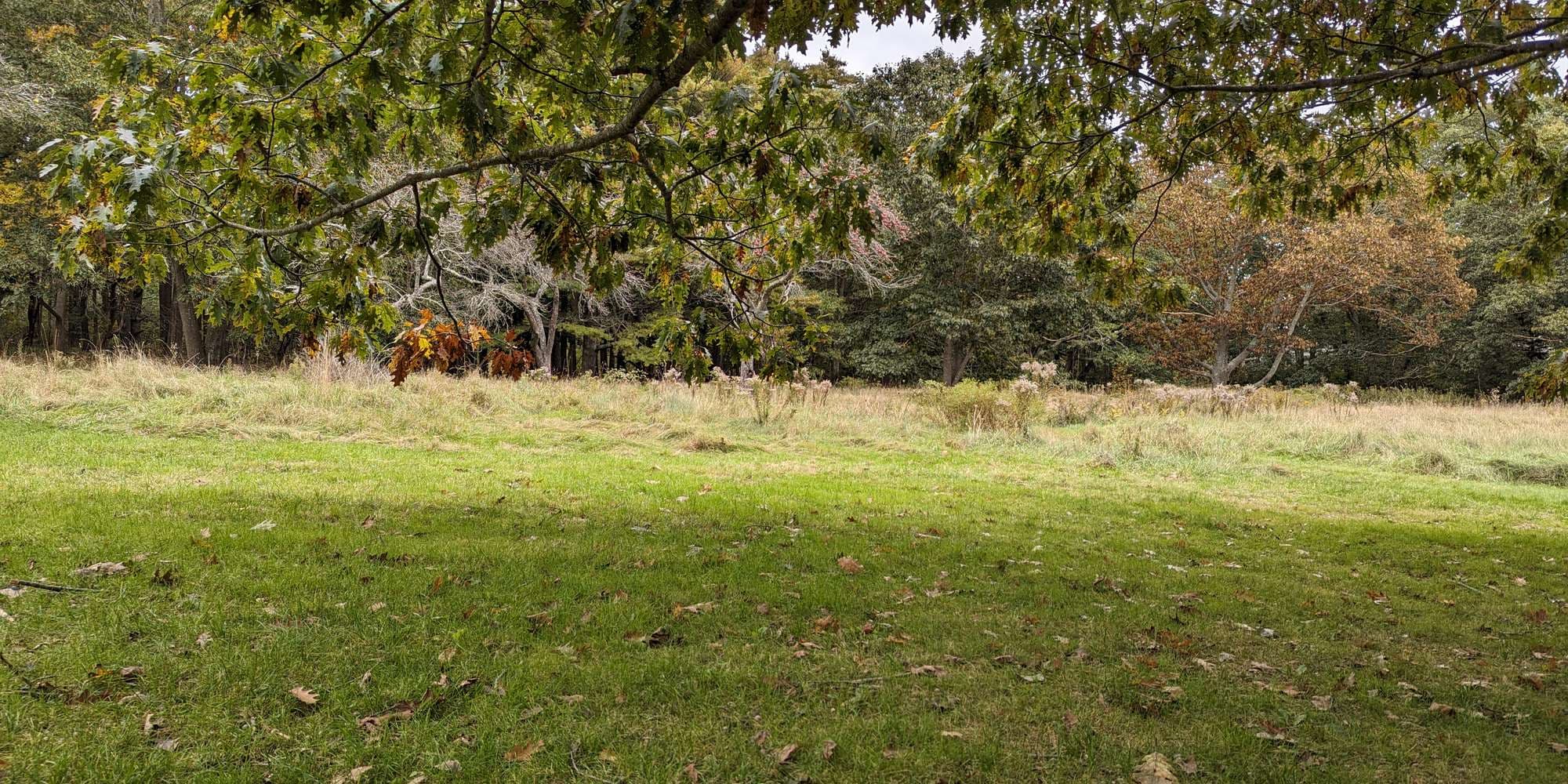 First image to compare