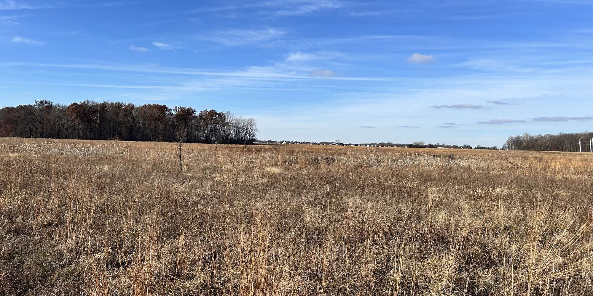 Second image to compare