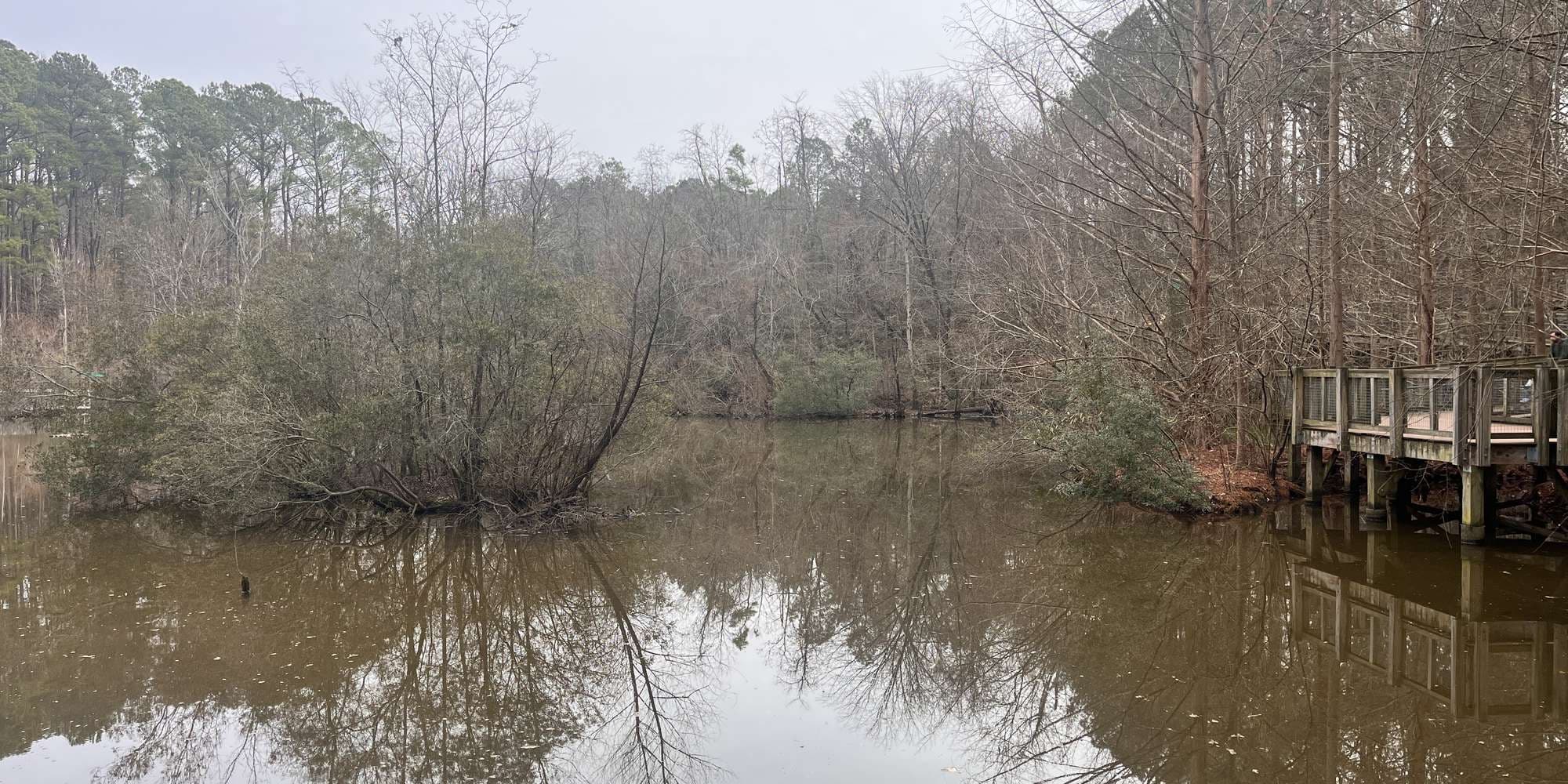 Second image to compare