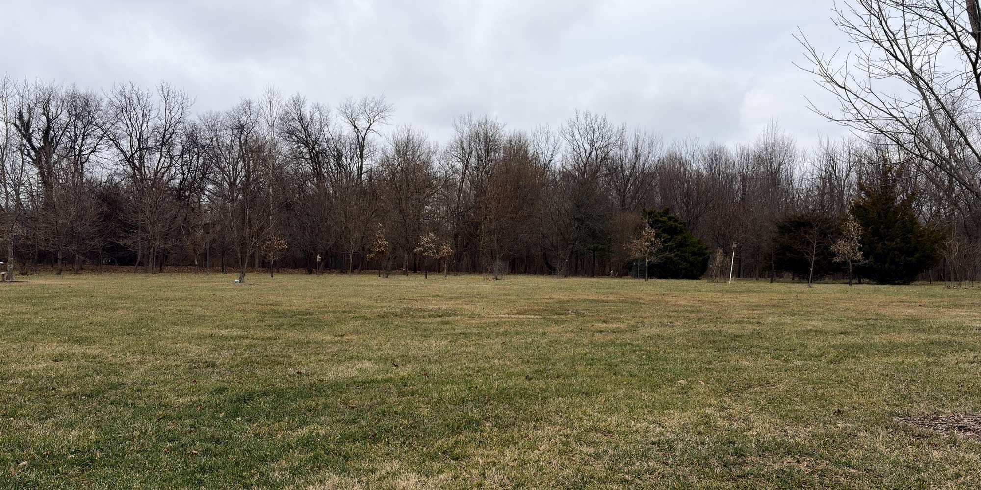 Second image to compare