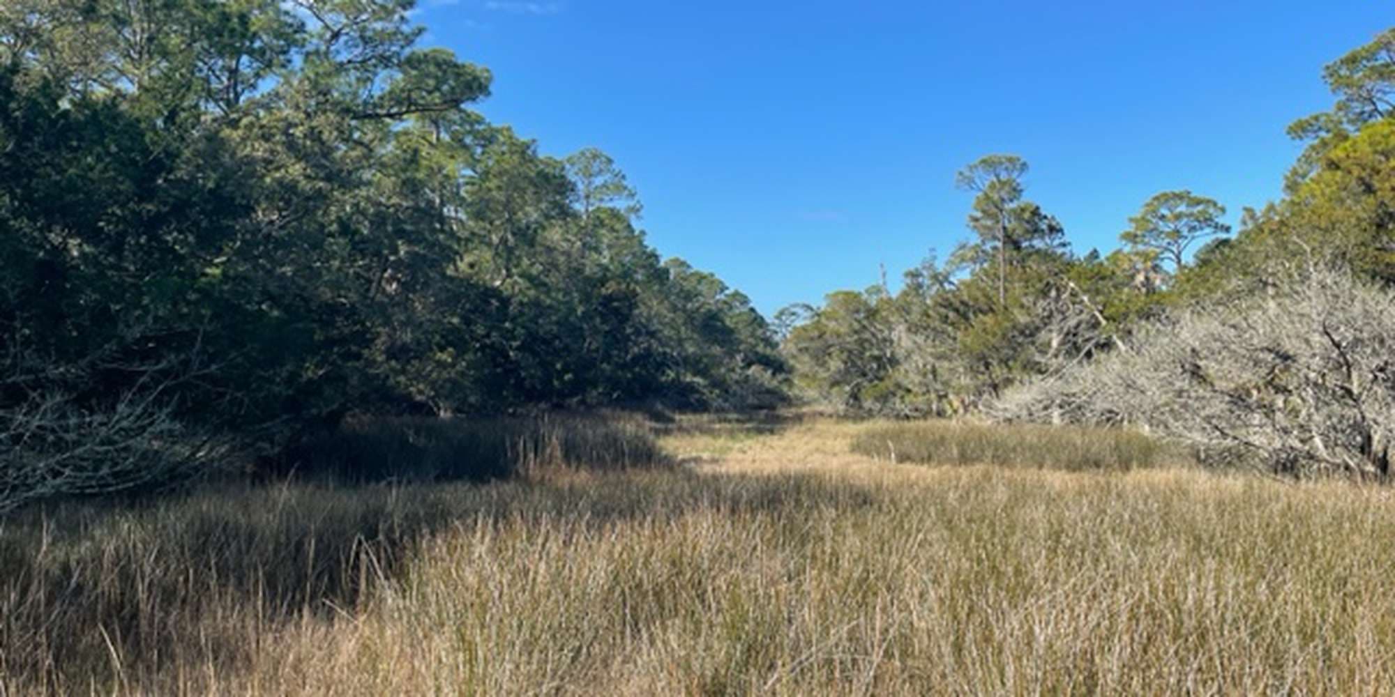 First image to compare