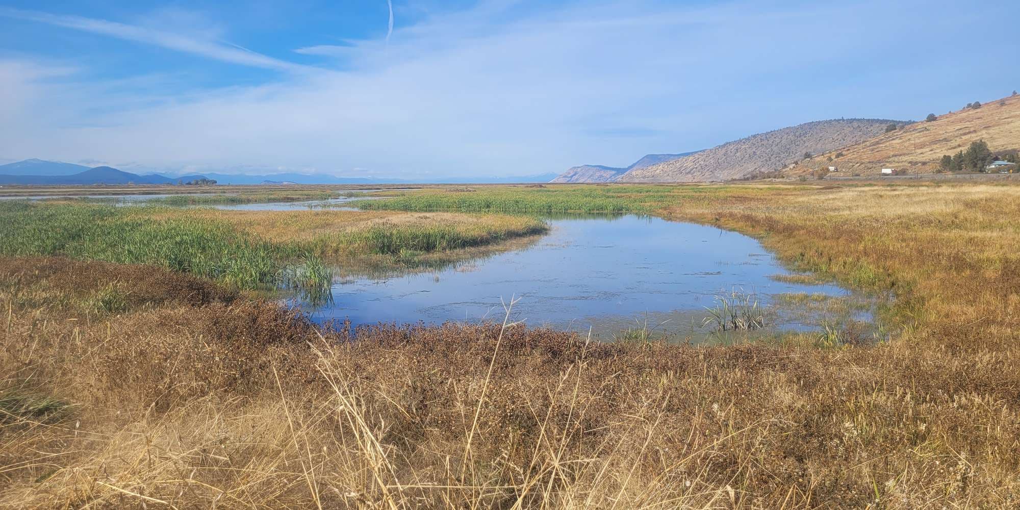 Second image to compare