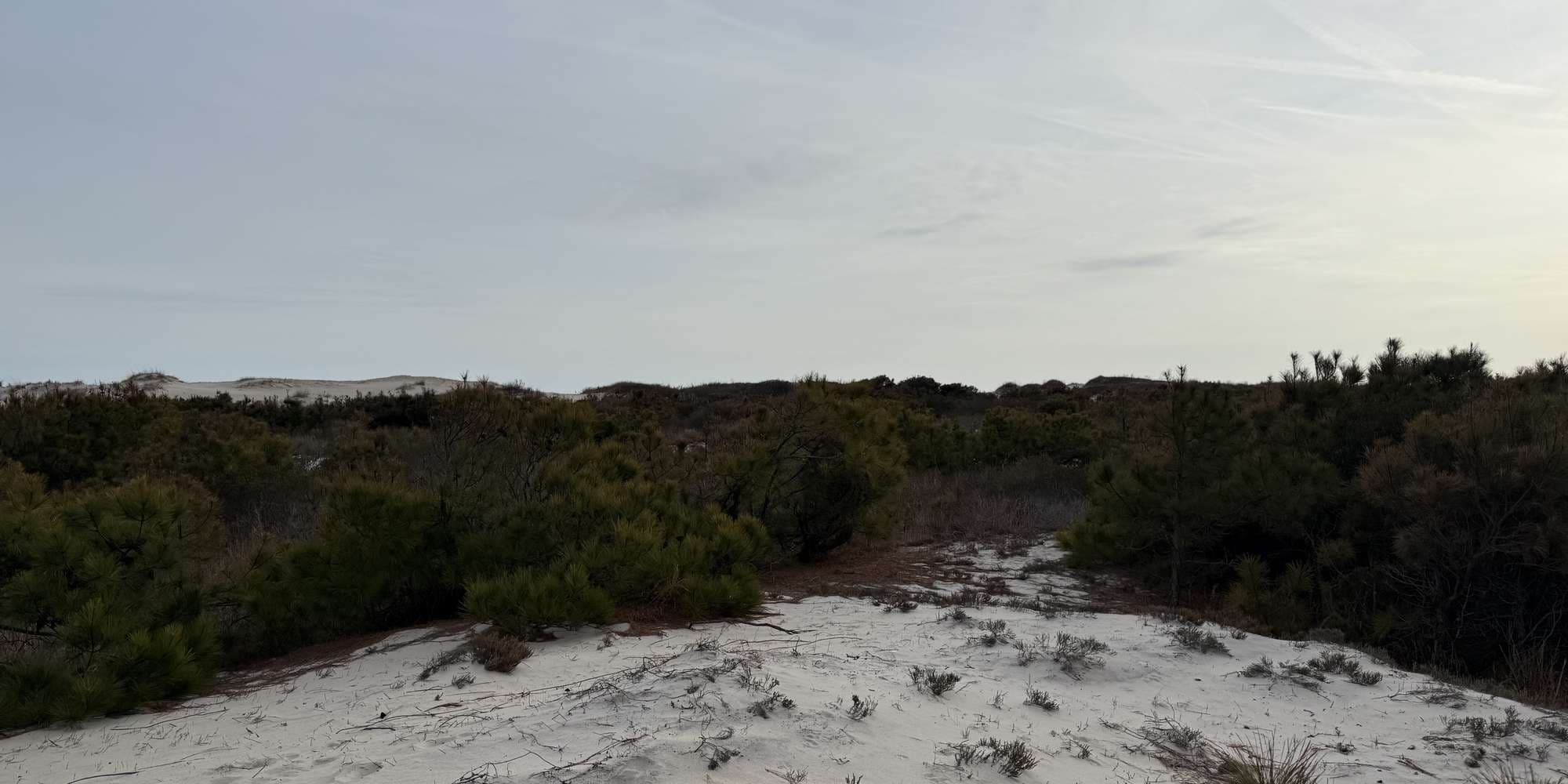 Second image to compare